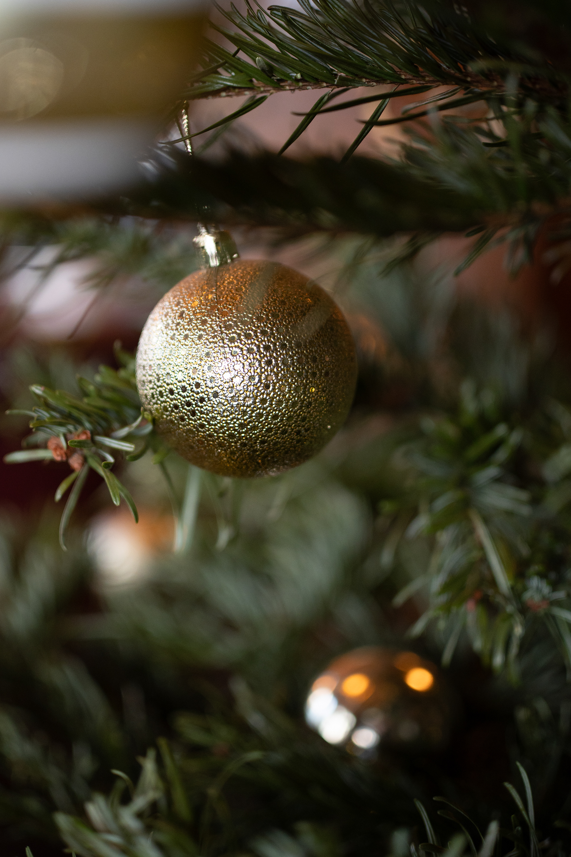 © Jon Harris Photography