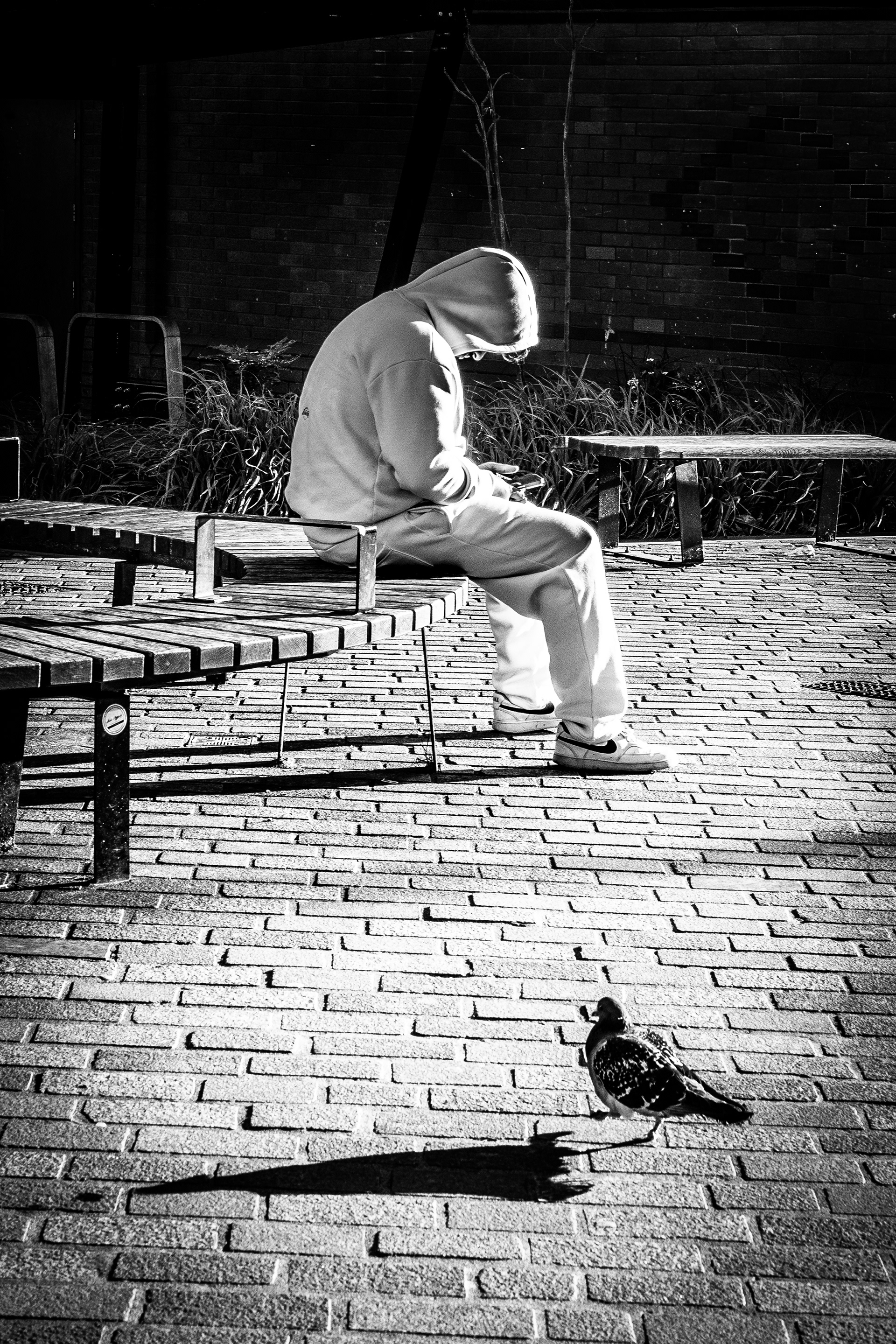 © Jon Harris Photography