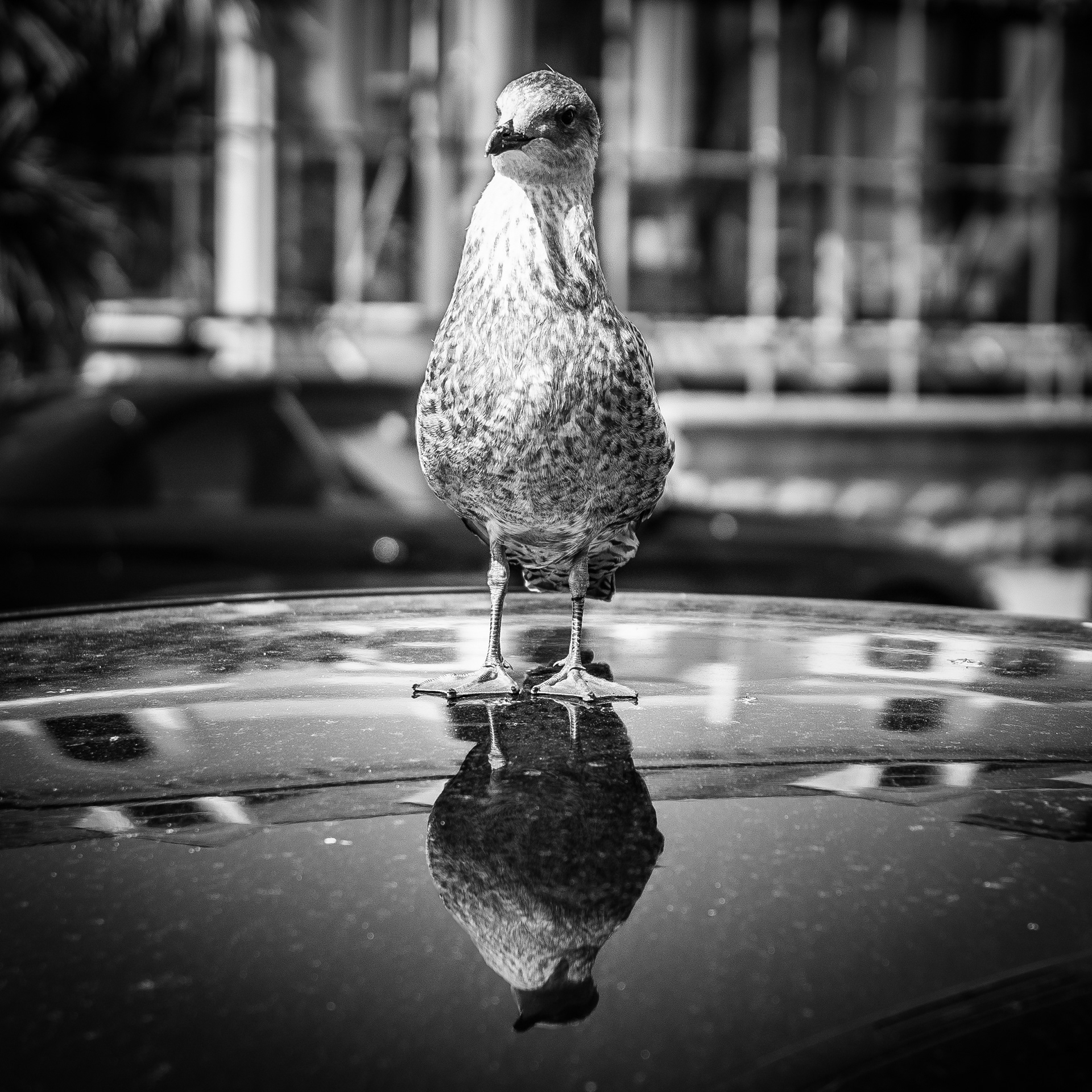 © Jon Harris Photography