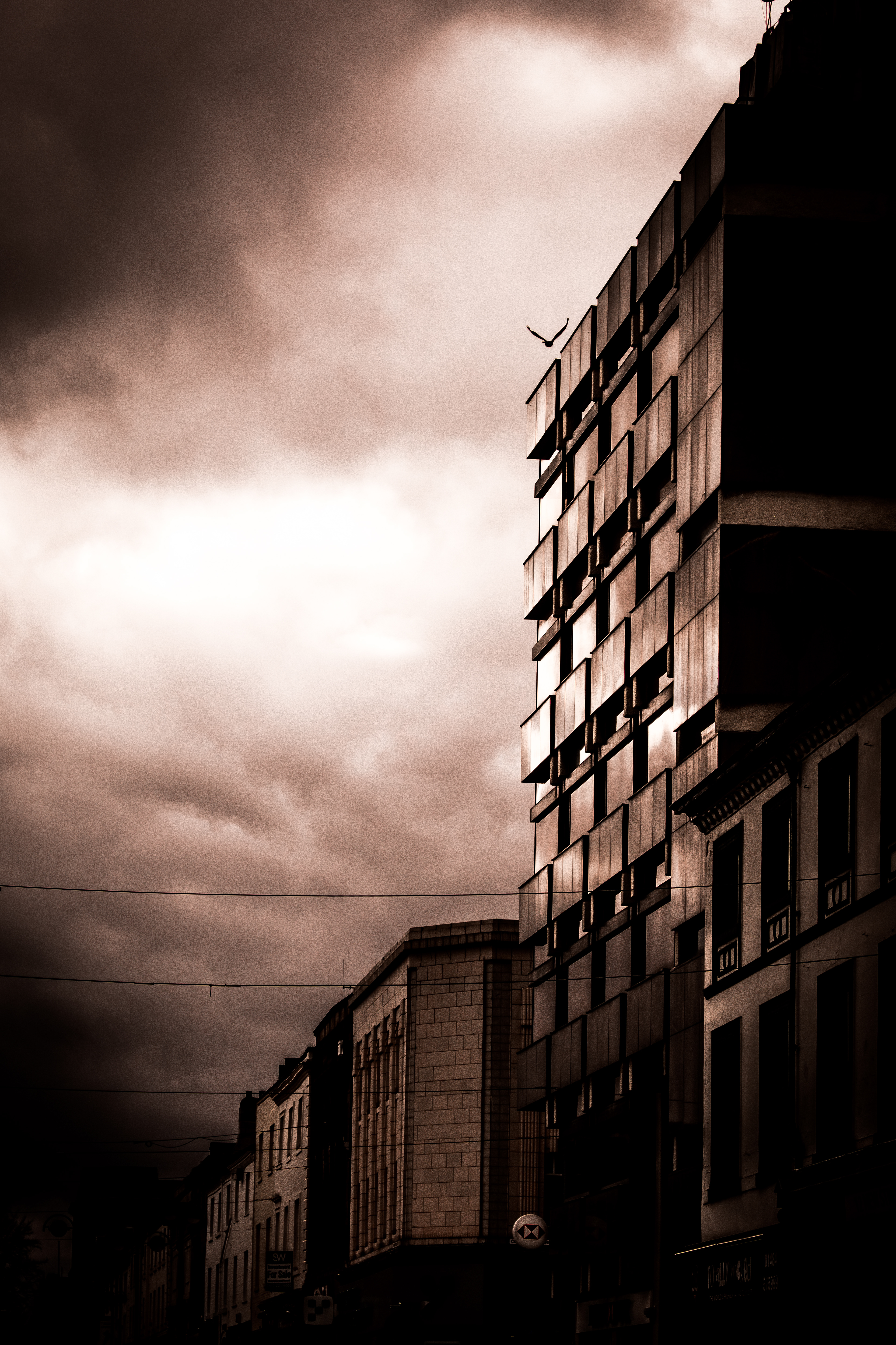 © Jon Harris Photography