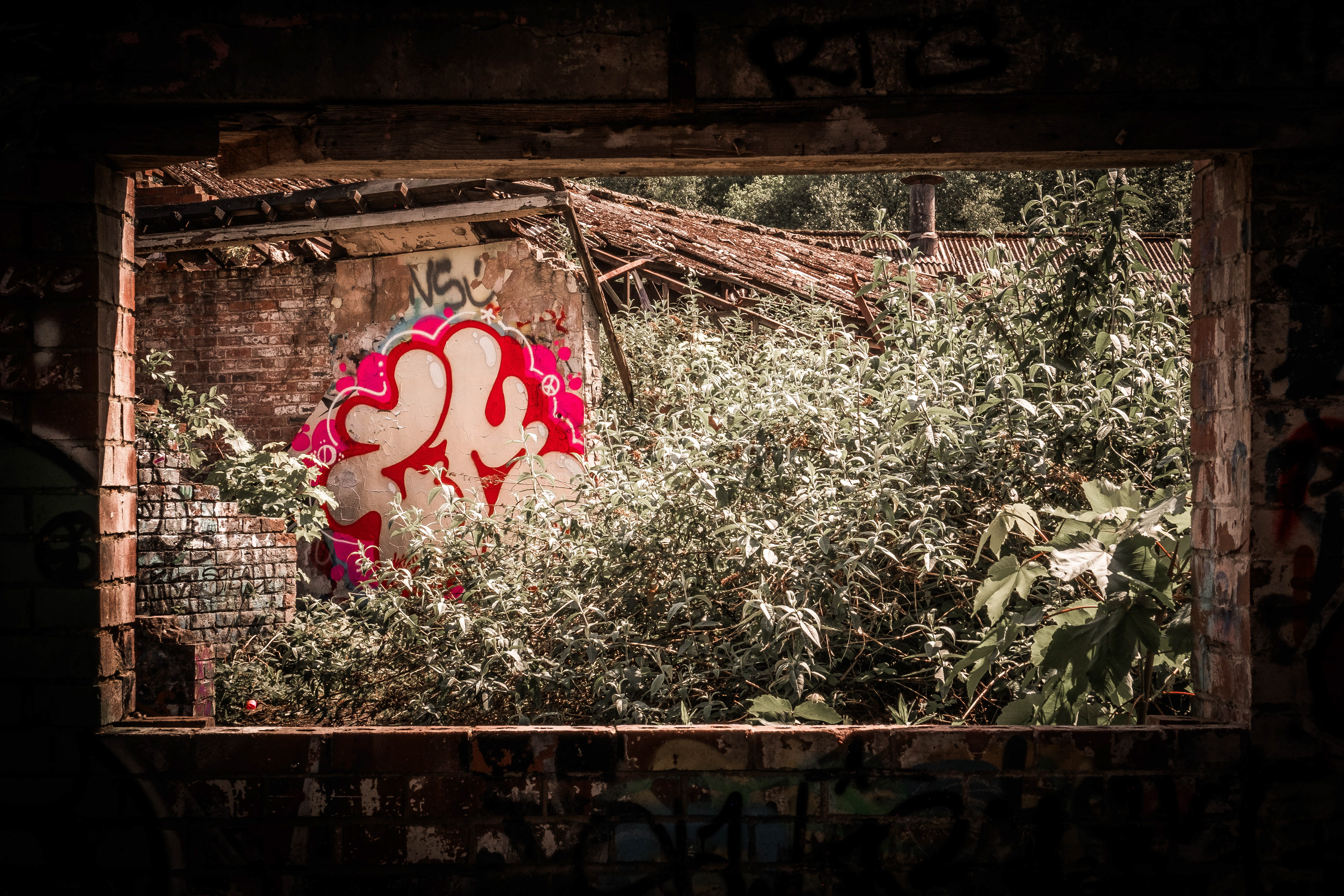 © Jon Harris Photography