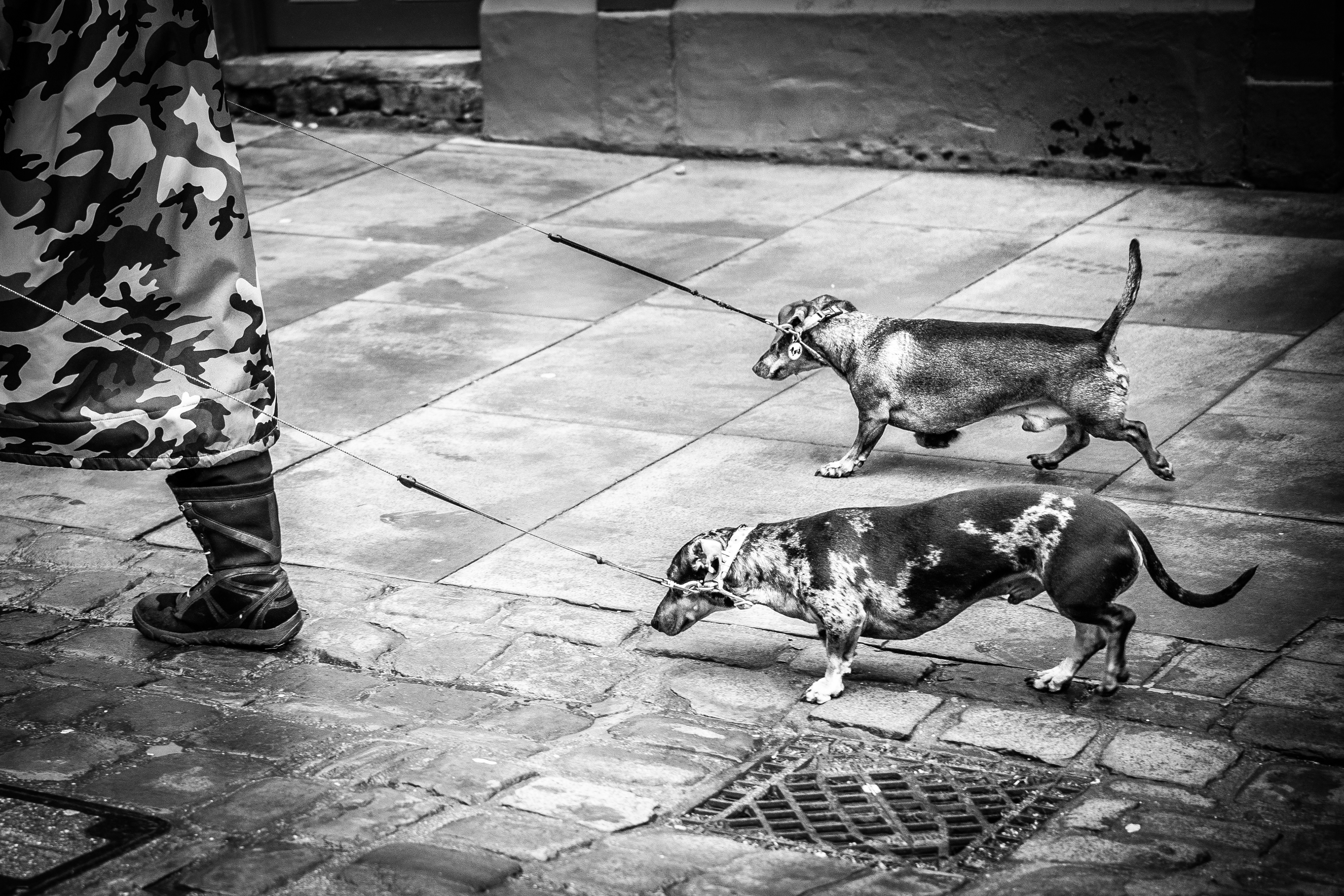 ©Jon Harris Photography