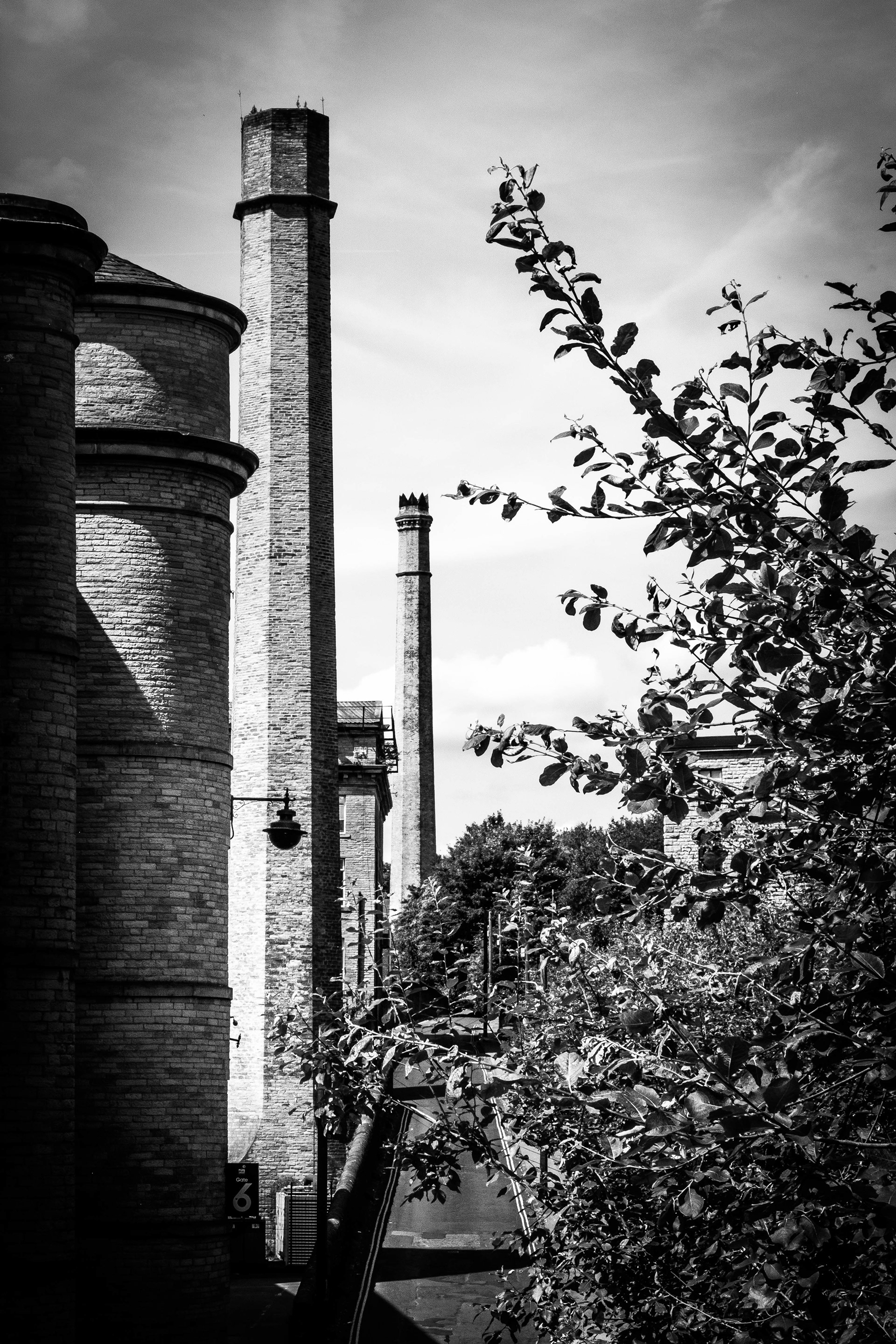 © Jon Harris Photography