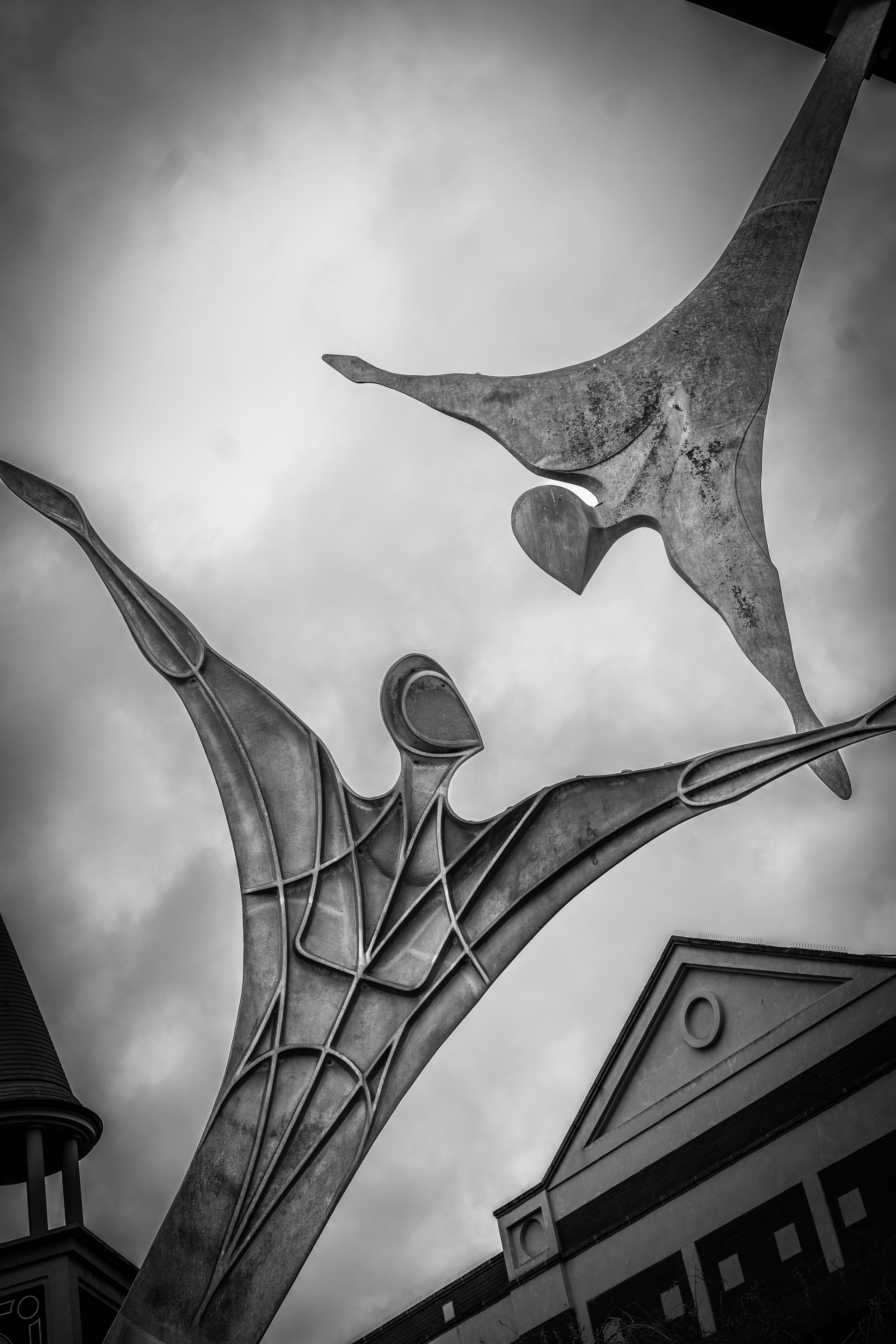©Jon Harris Photography