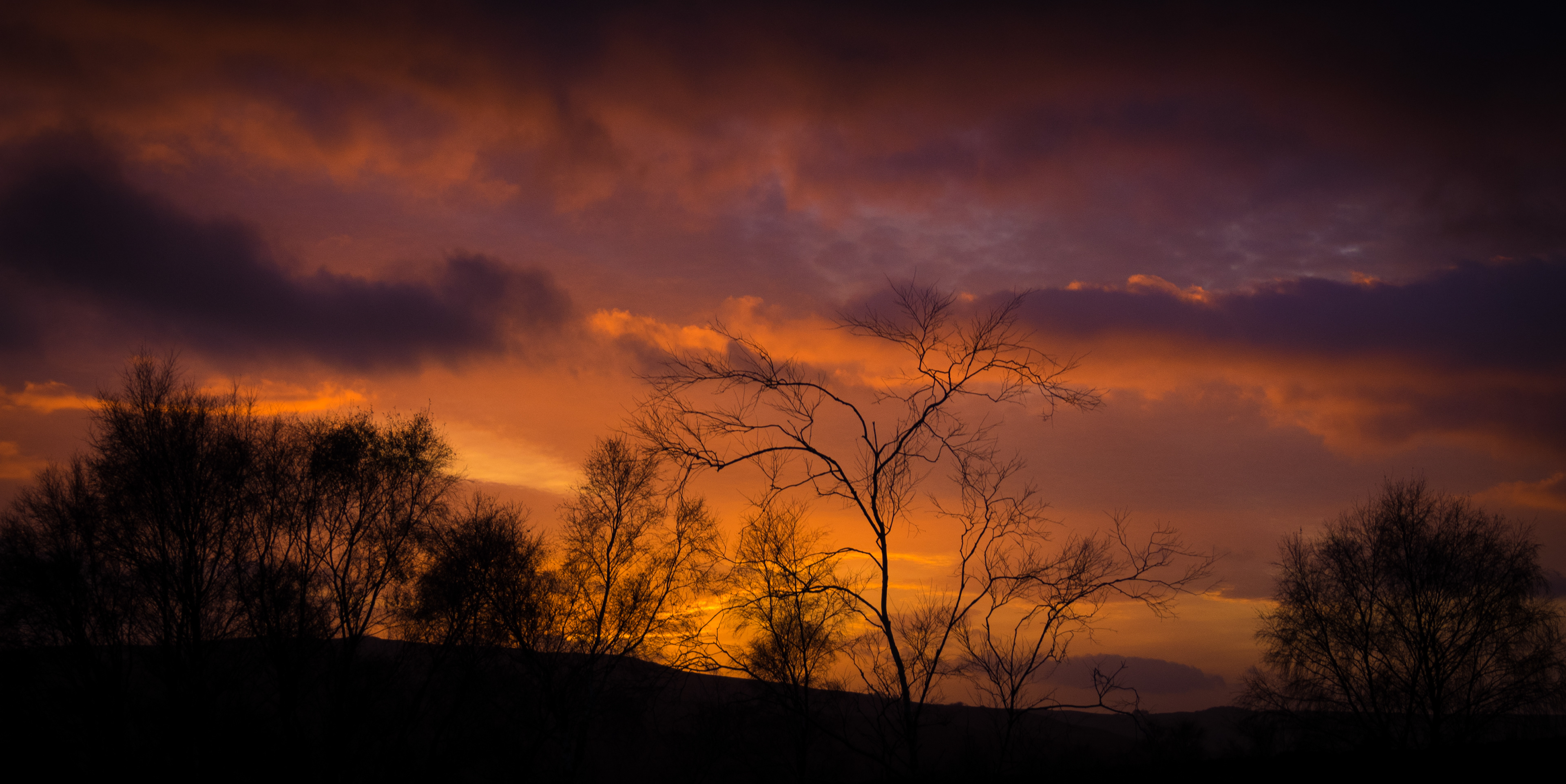 © Jon Harris Photography