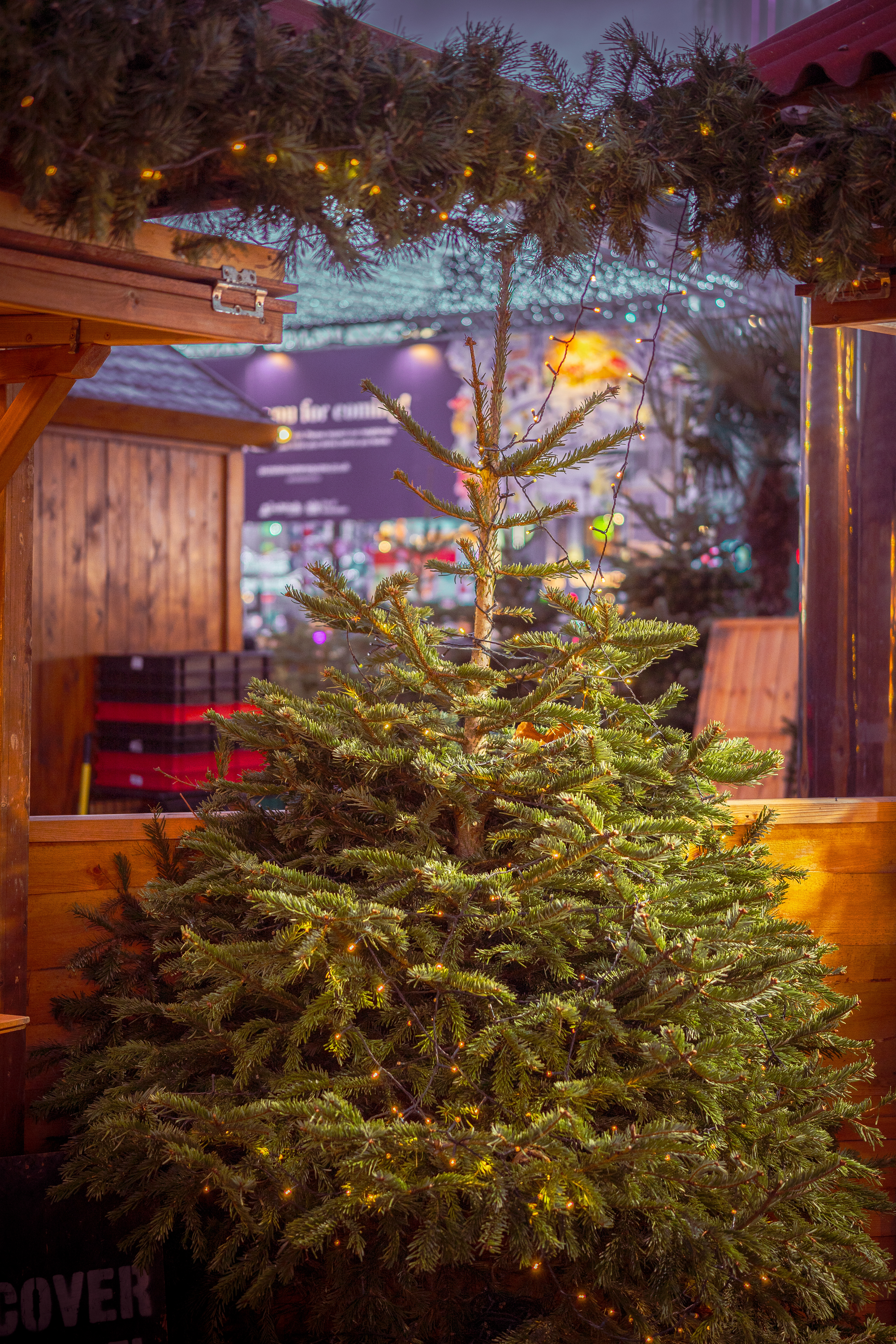 © Jon Harris Photography