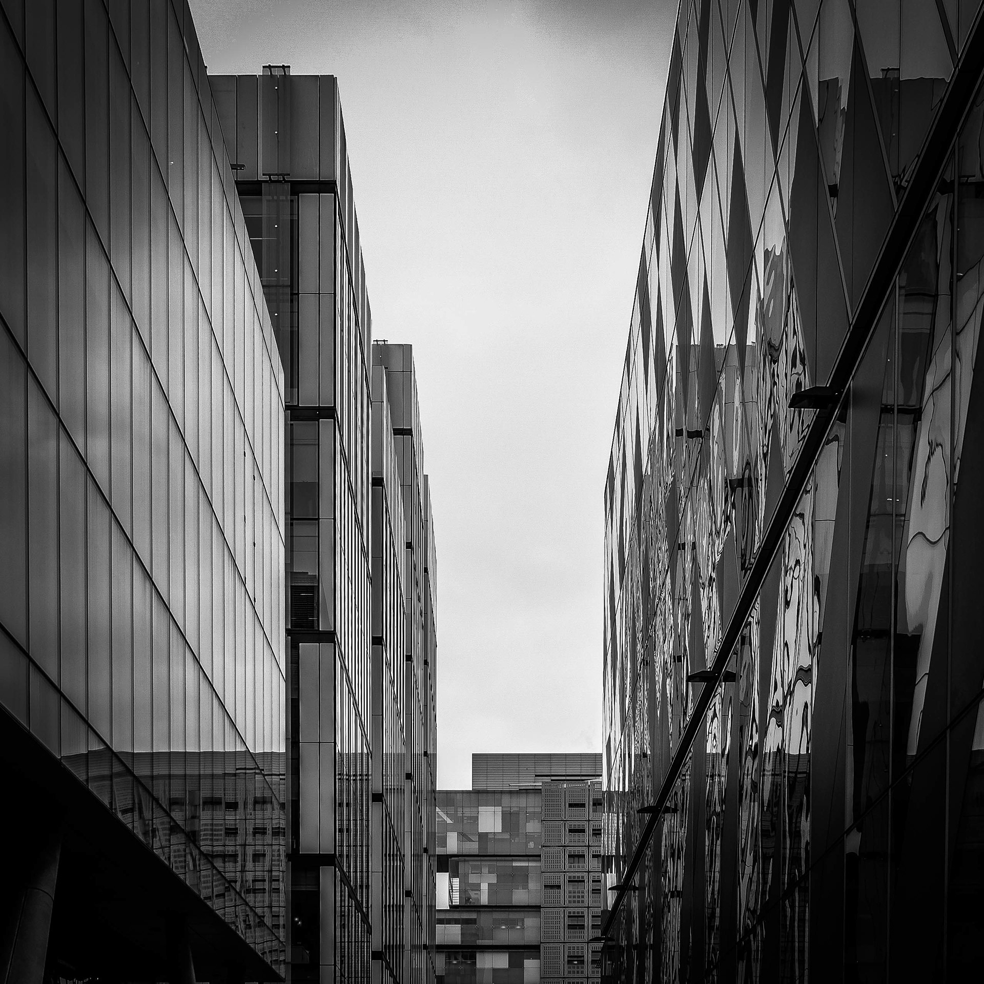 © Jon Harris Photography