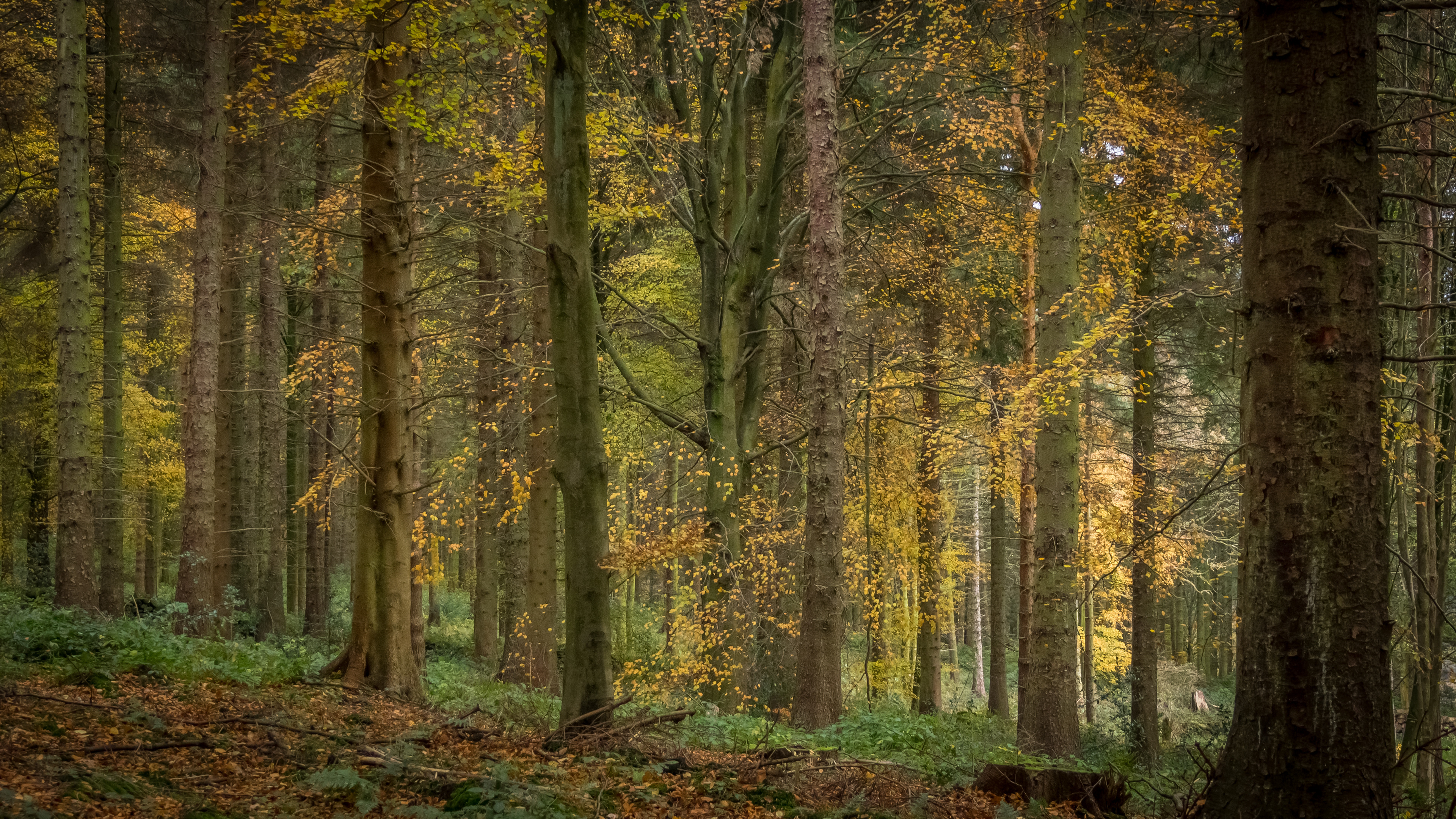 © Jon Harris Photography