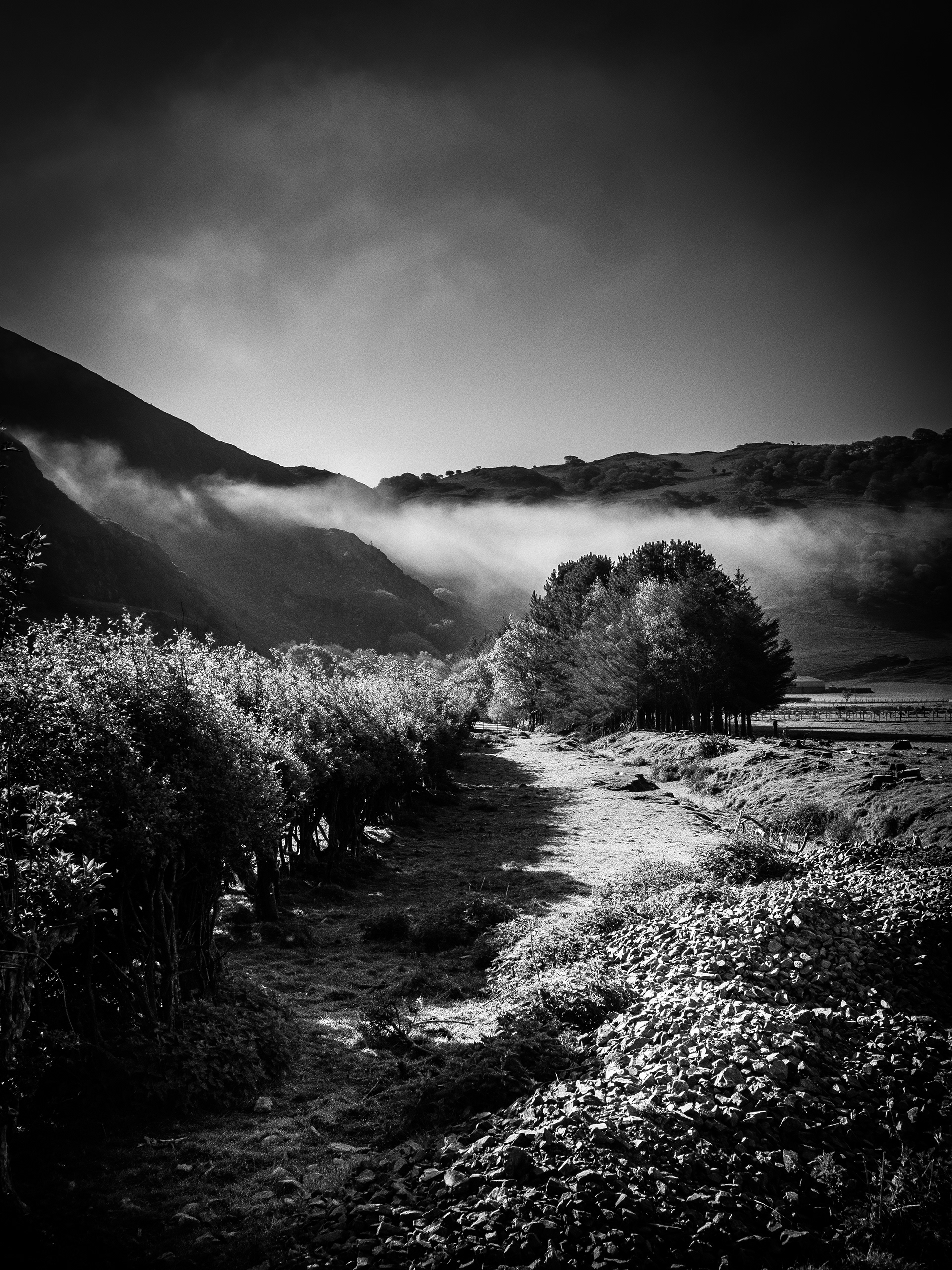 © Jon Harris Photography