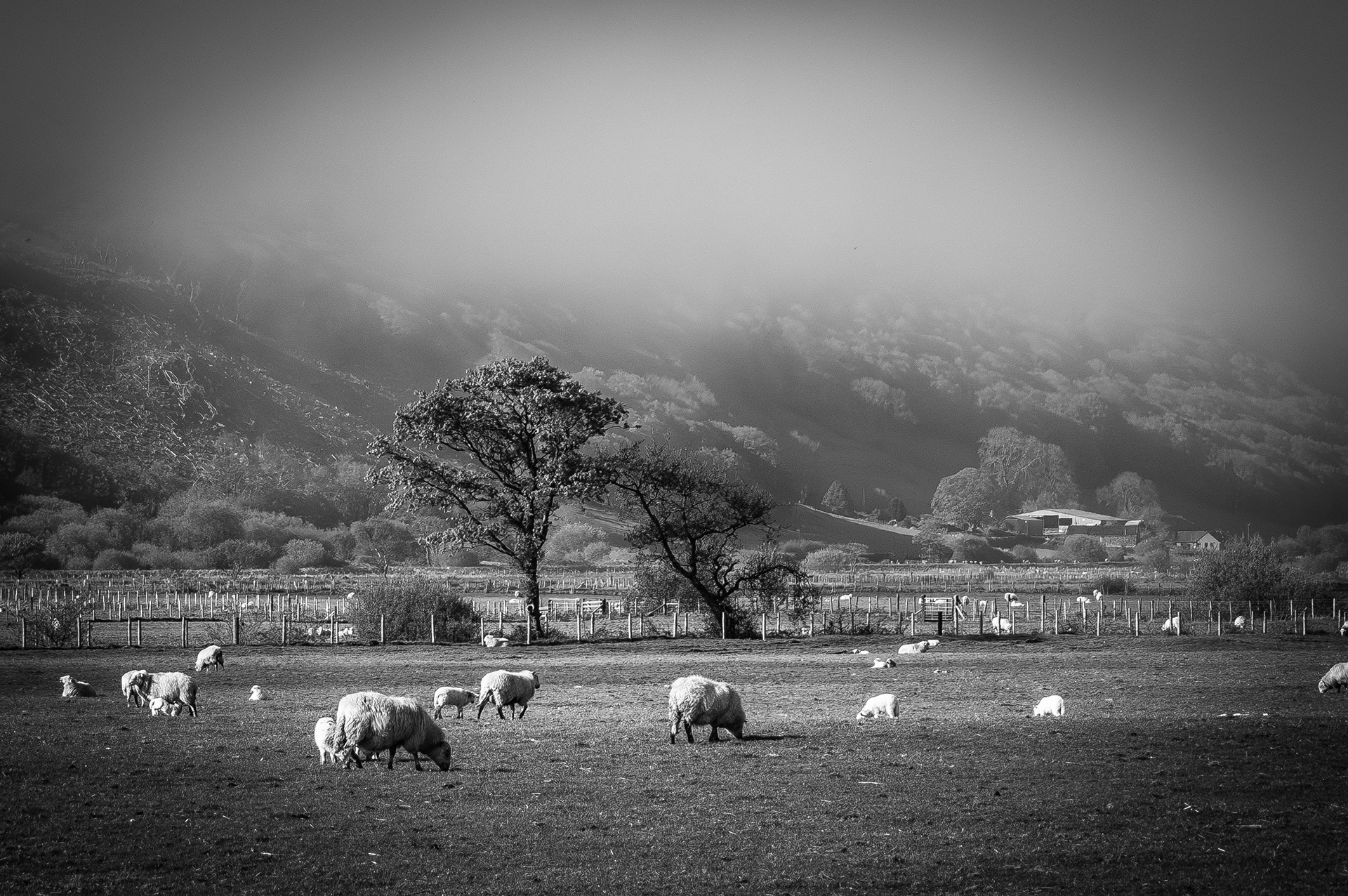 © Jon Harris Photography