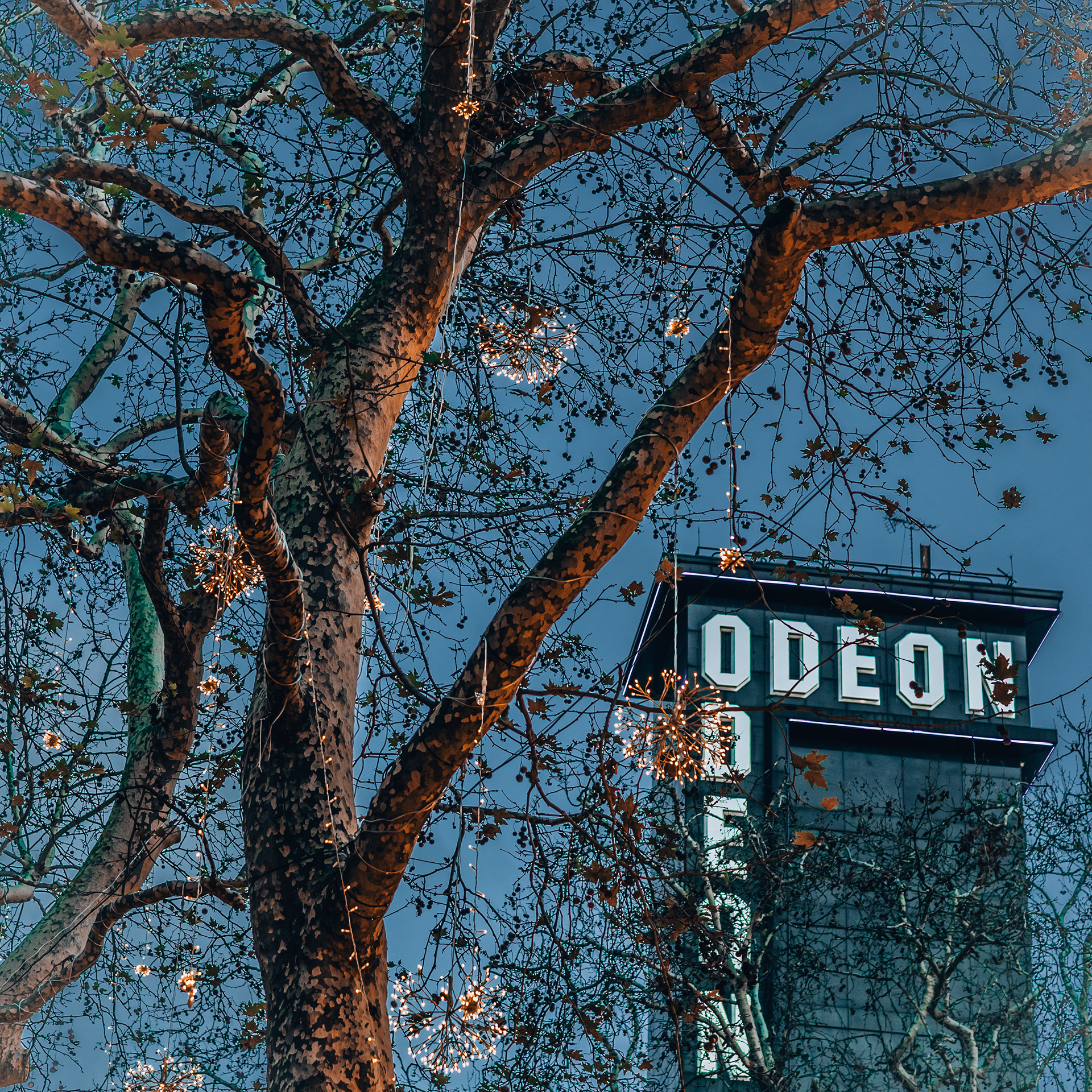 © Jon Harris Photography