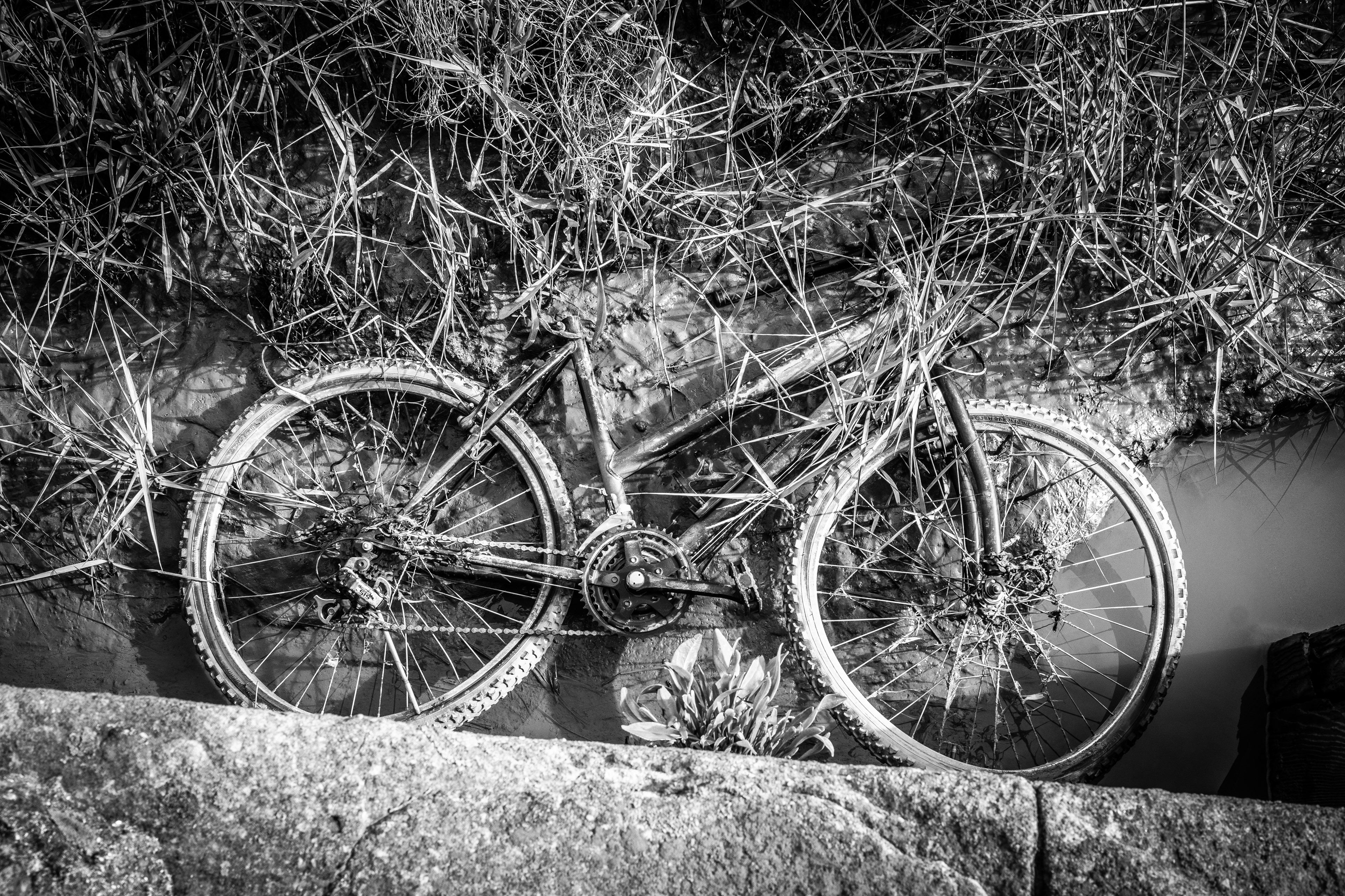©Jon Harris Photography