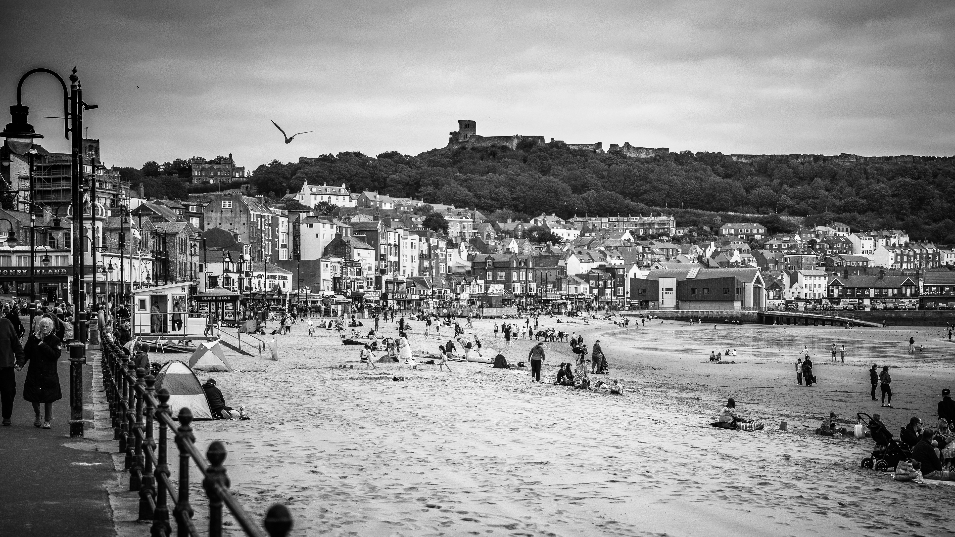 © Jon Harris Photography