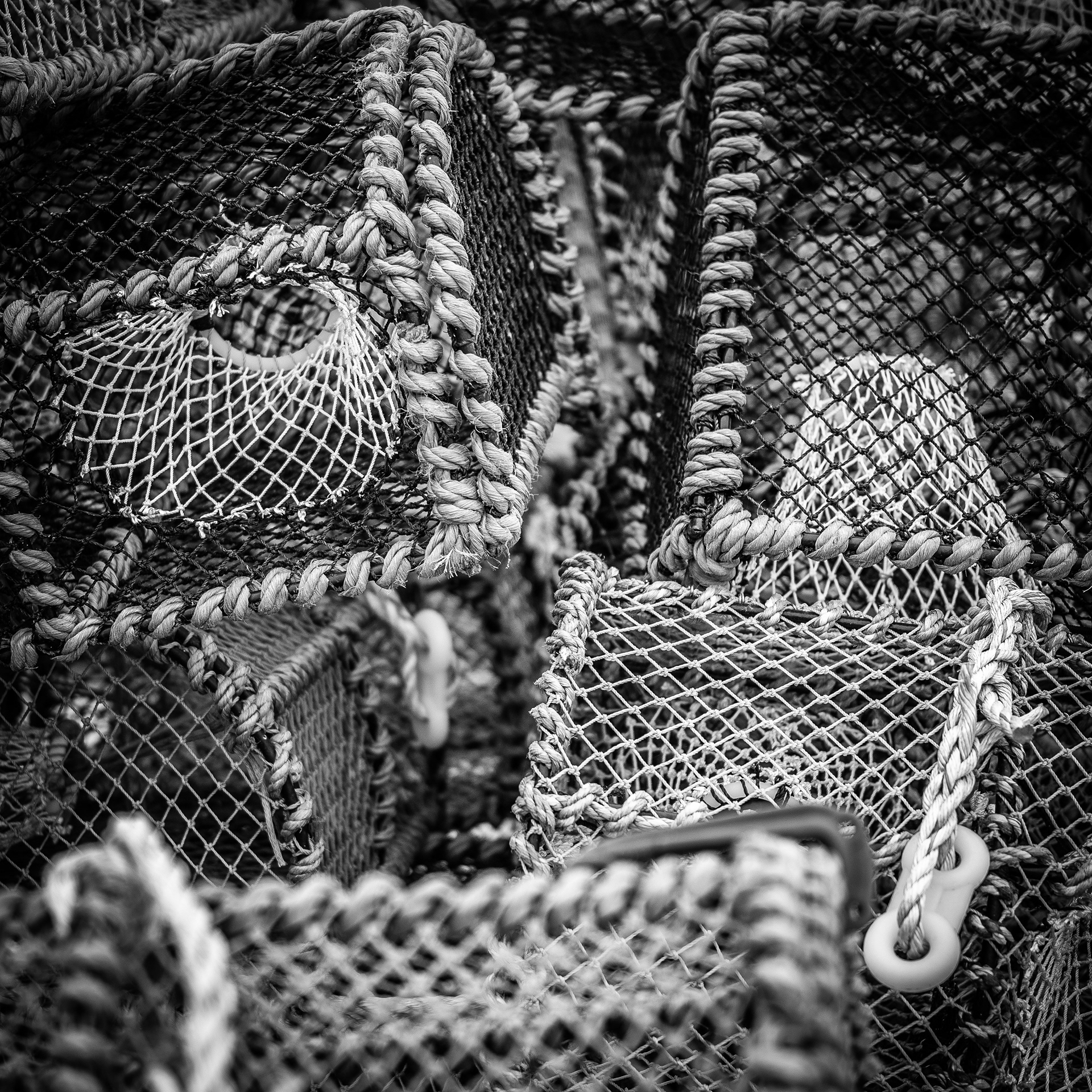 © Jon Harris Photography