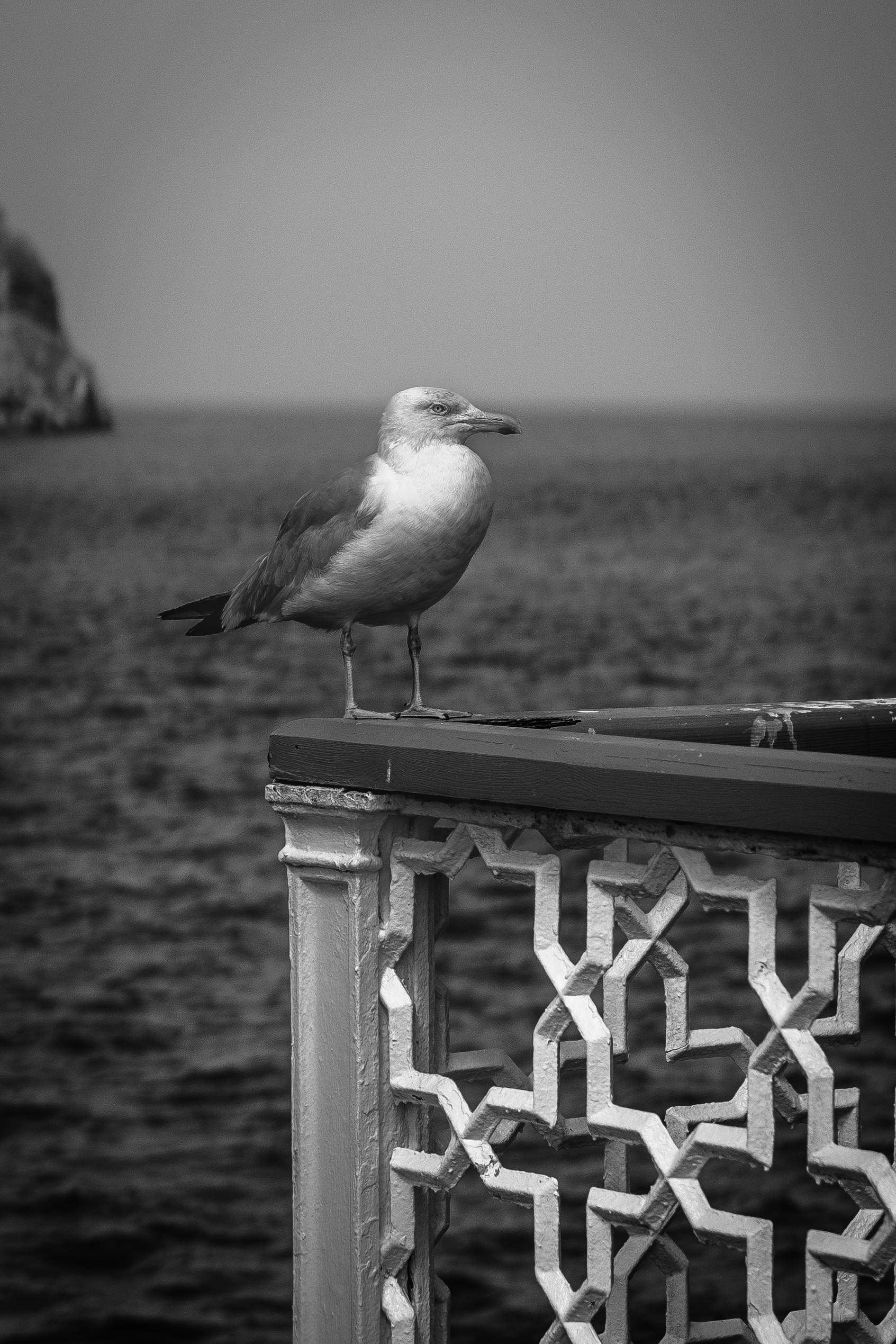 © Jon Harris Photography