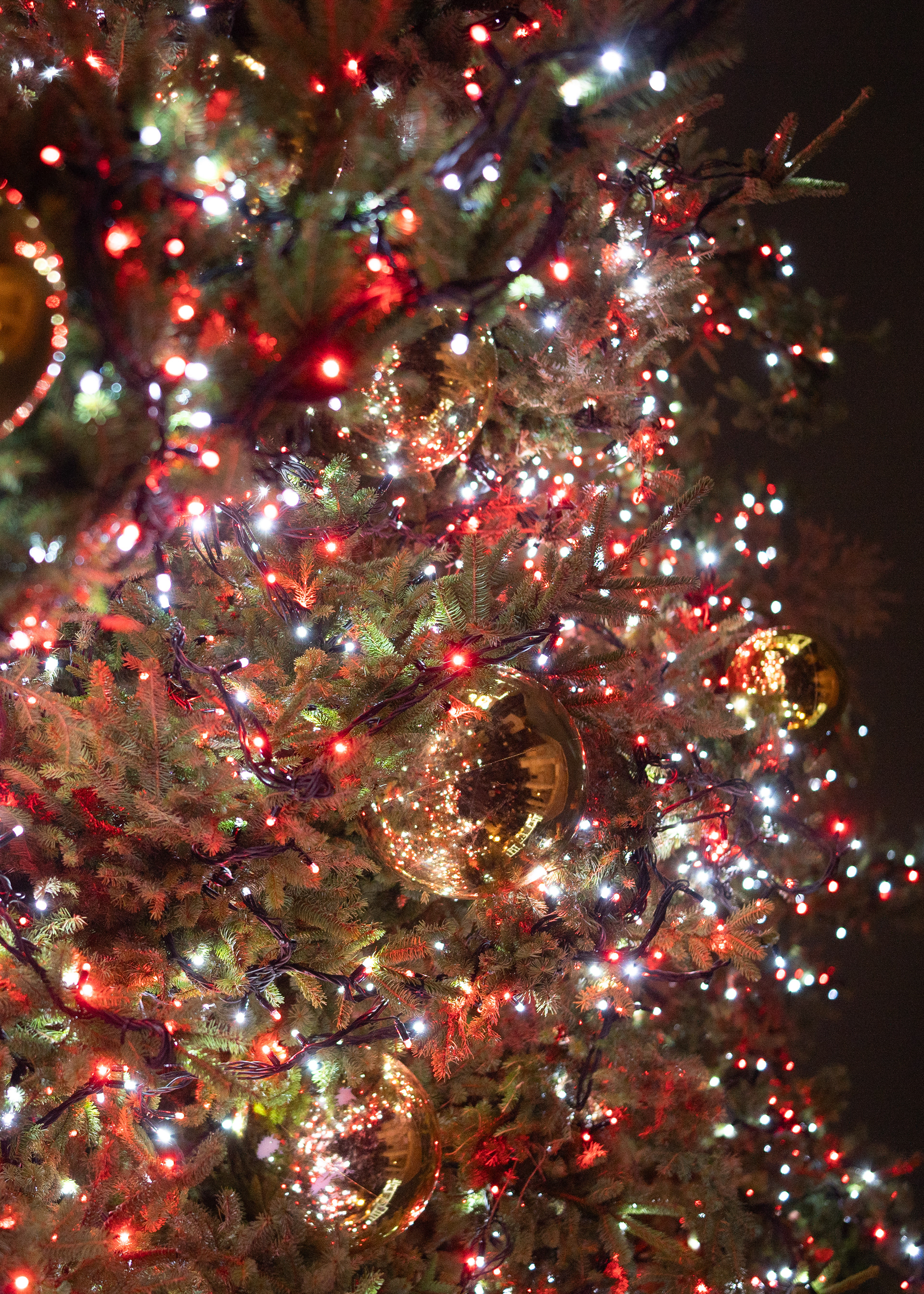 © Jon Harris Photography