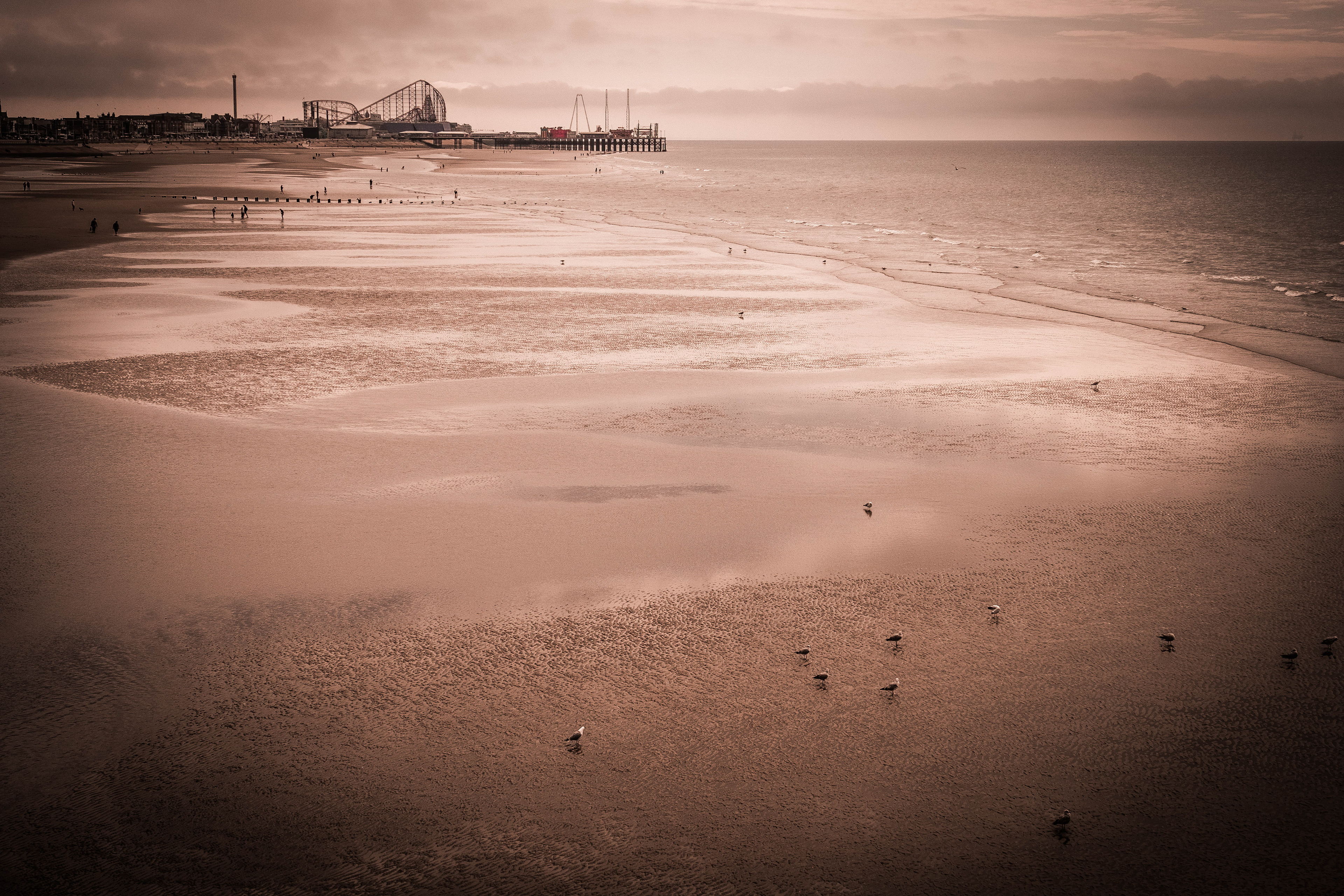 © Jon Harris Photography