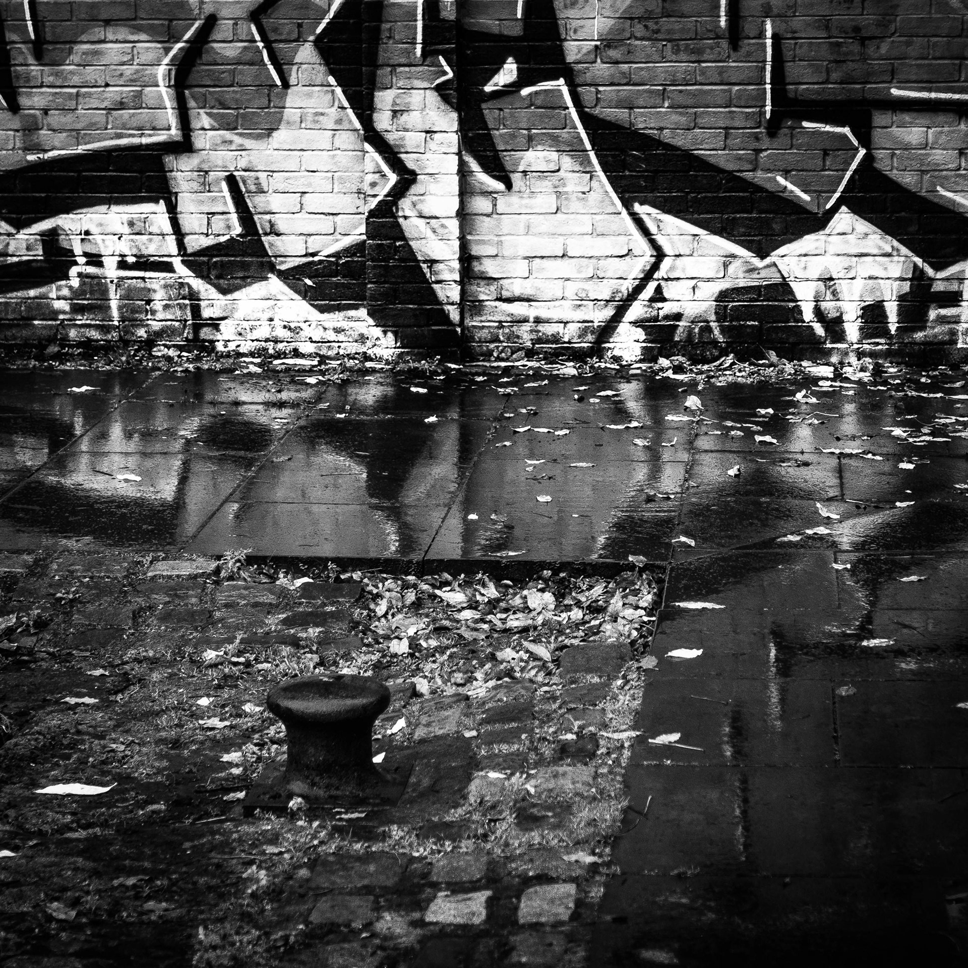 © Jon Harris Photography