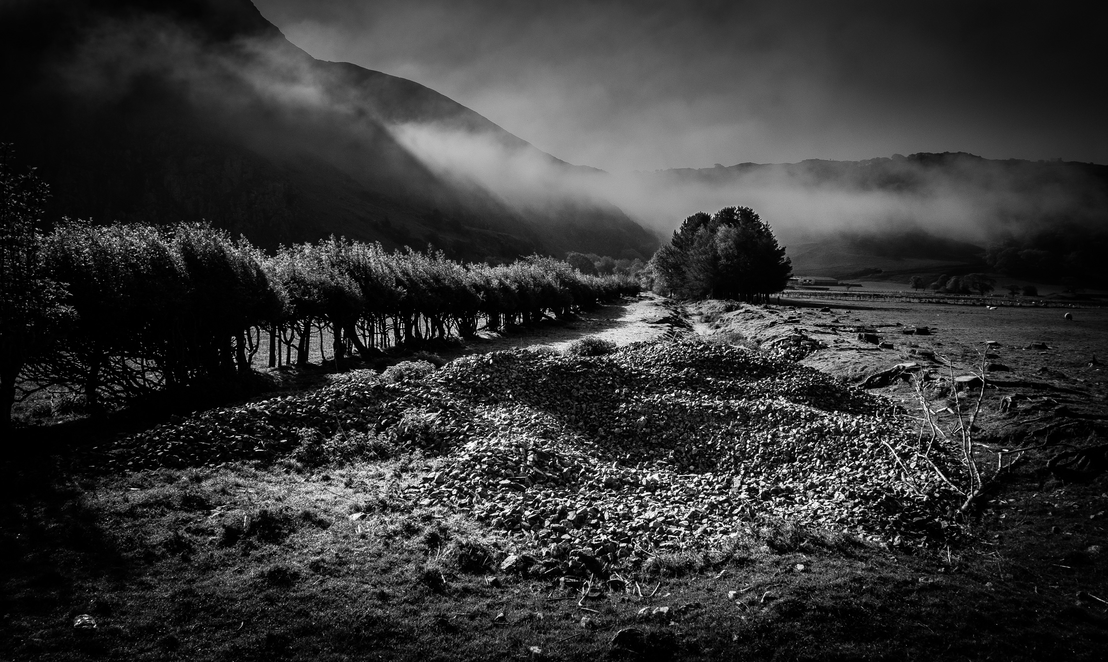 © Jon Harris Photography