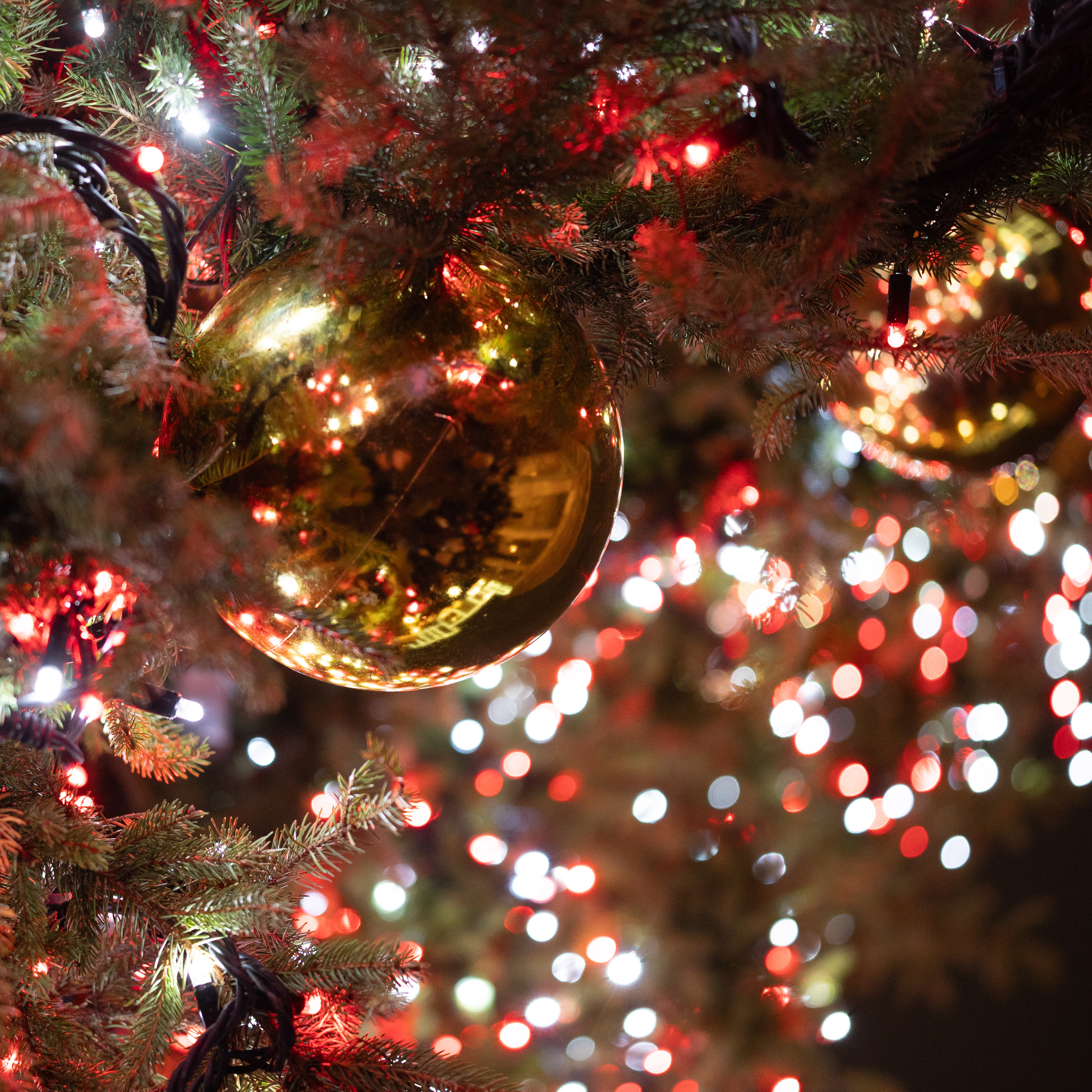 © Jon Harris Photography