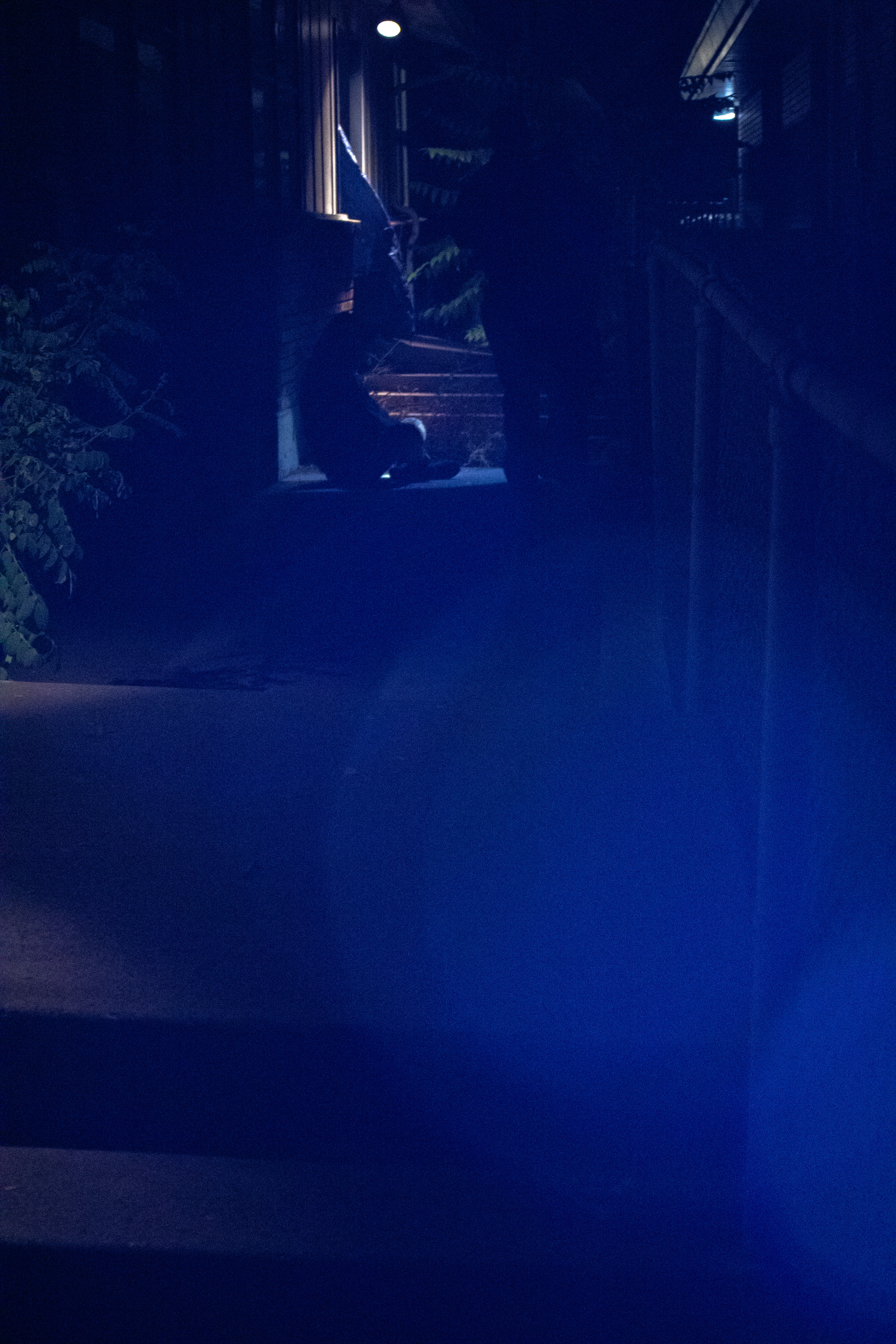 Officer's receive call for trespasser.