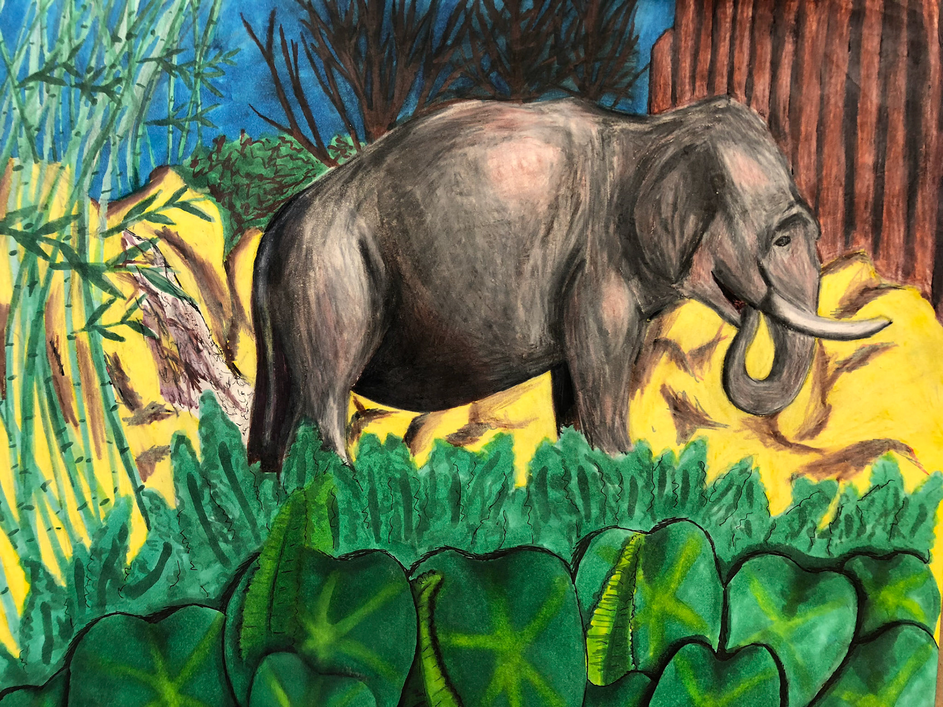 "Elephant Study" 14x11" Colored Pencil and Marker on Paper