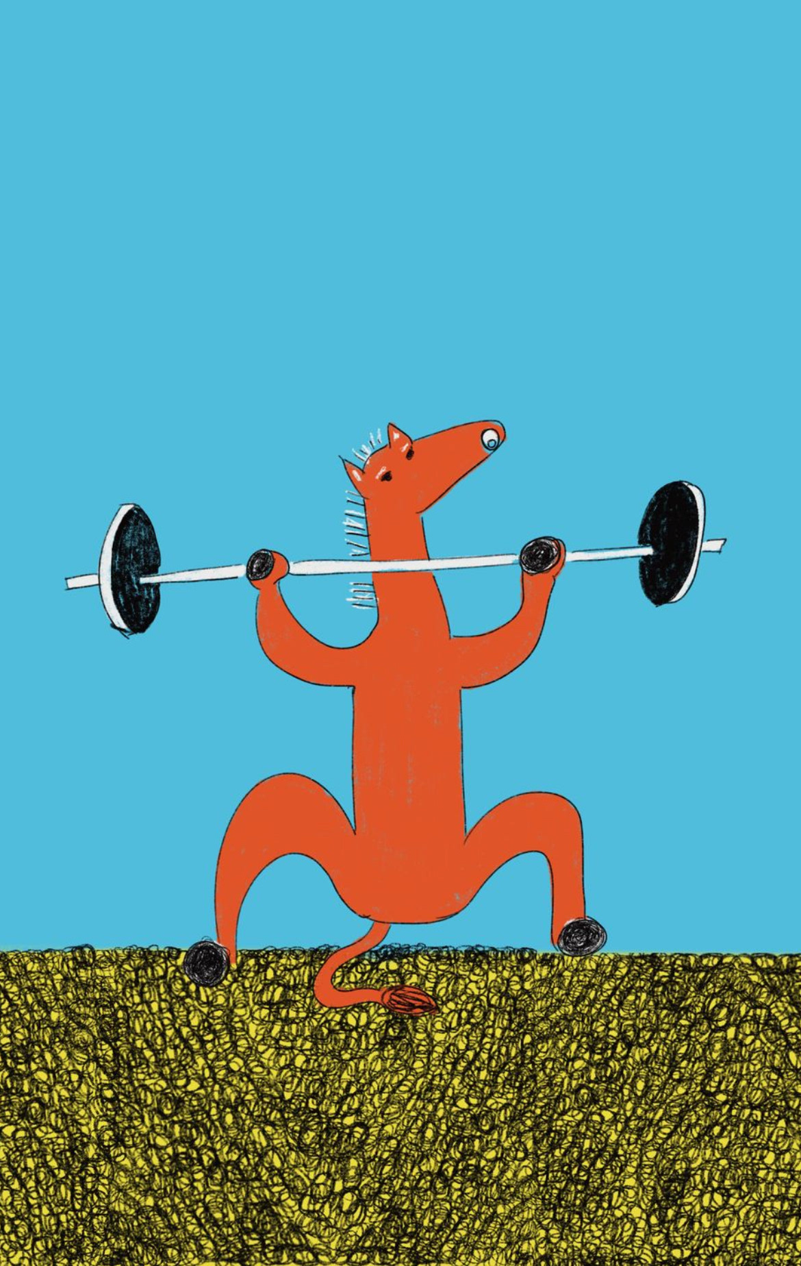 ein oranger esel stemmt schwere hantelnd. hellblauer flächiger hintergrund 