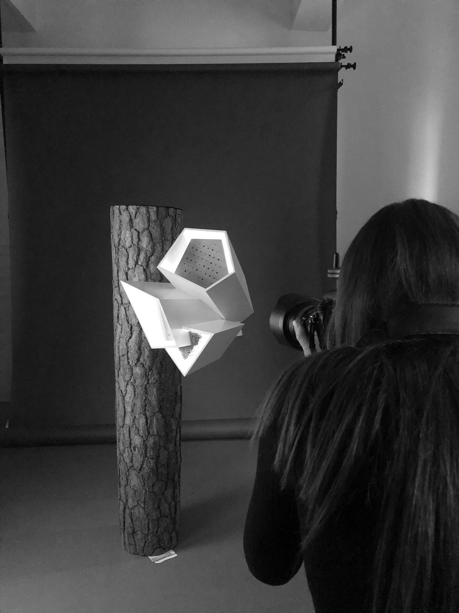 photography in the studio