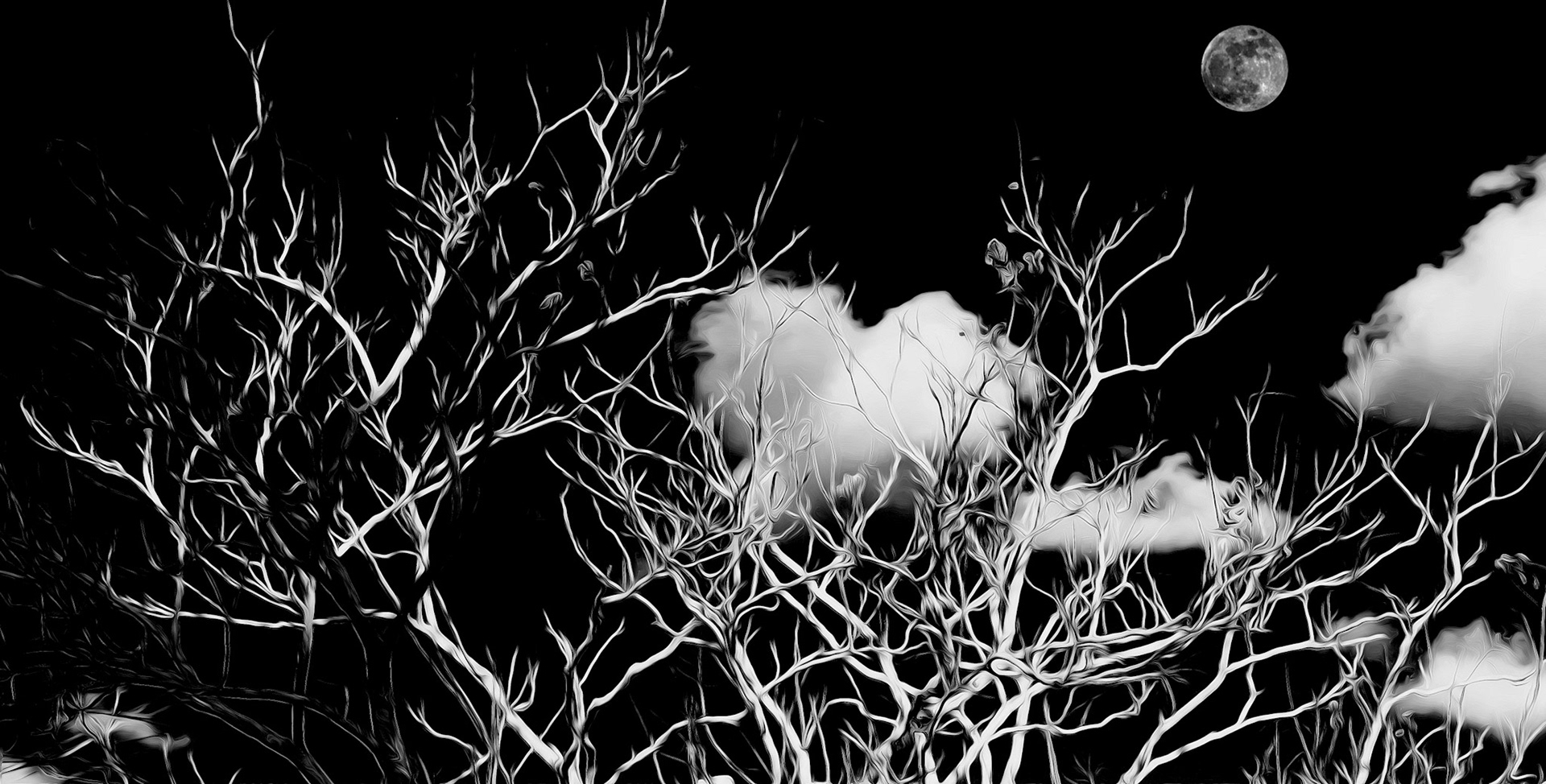 Negative Moon