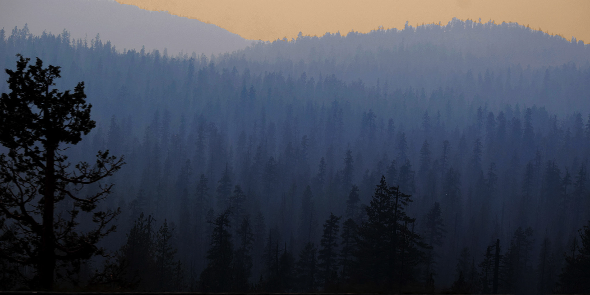 Wildfire in the distance