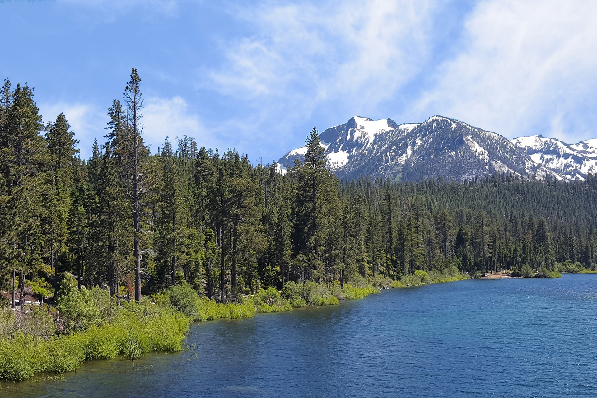 Tahoe trees & mountains