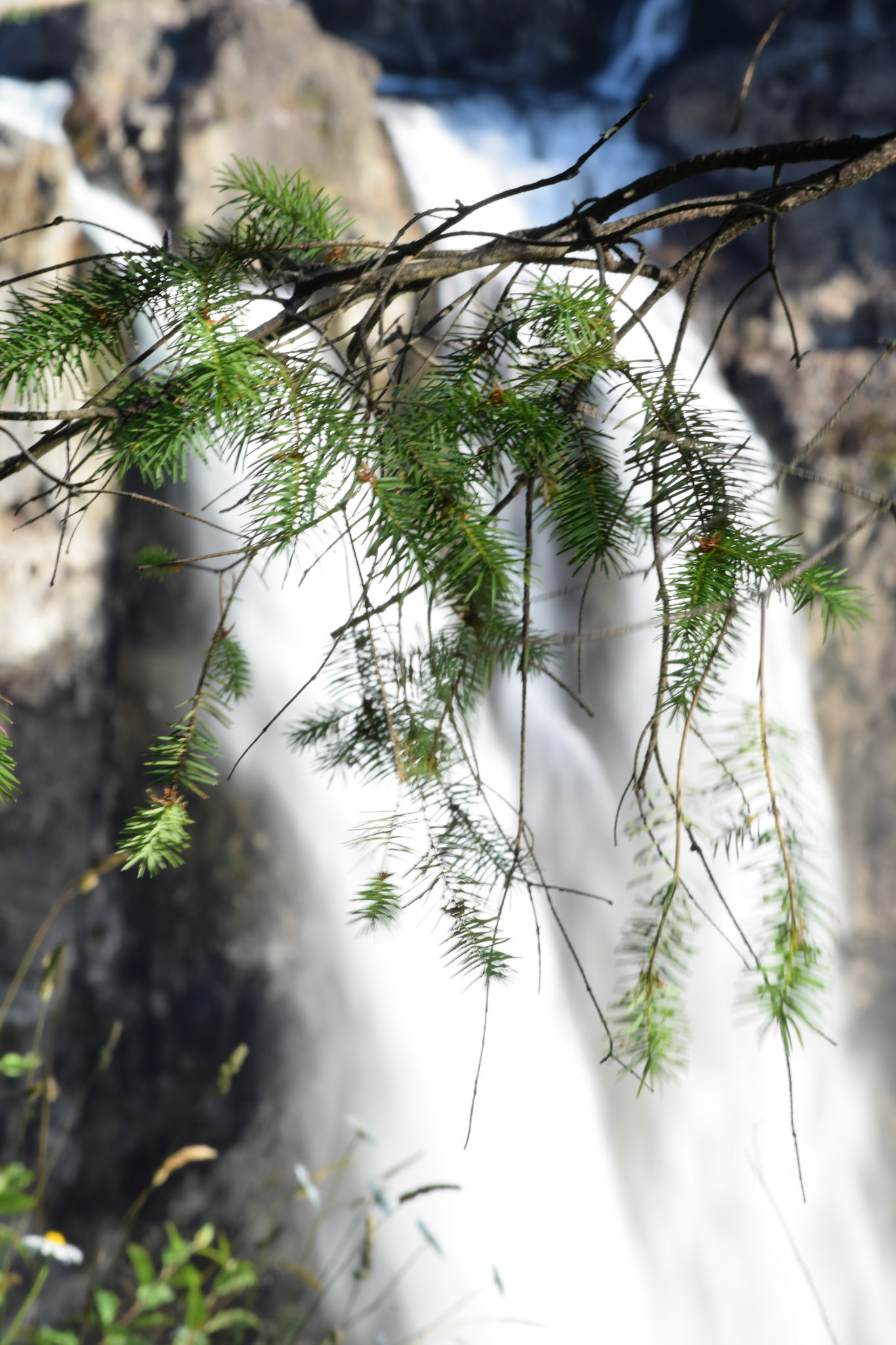 Falls