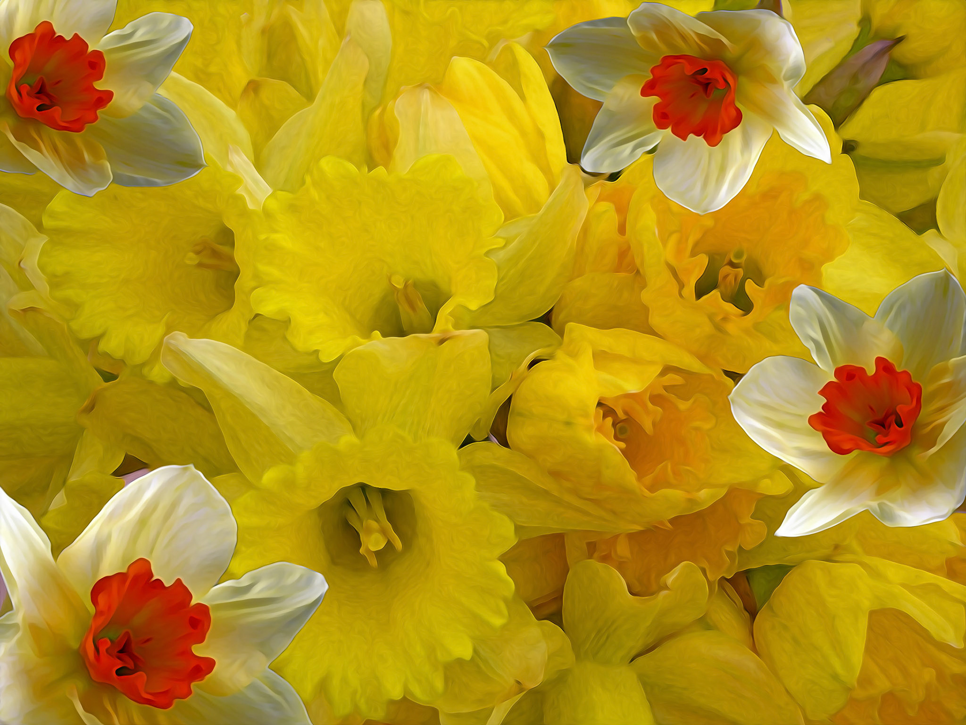Daffiies