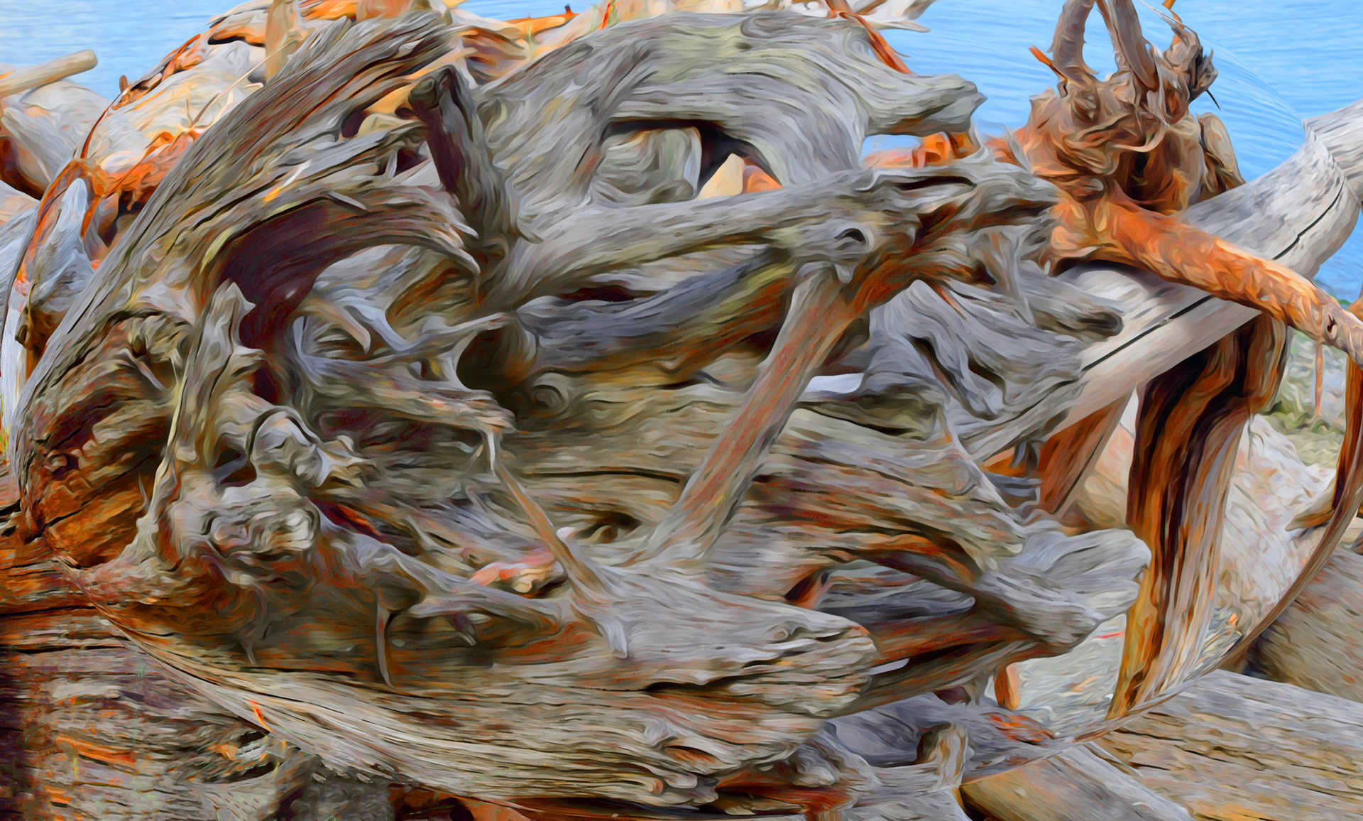 Tofino Driftwood
