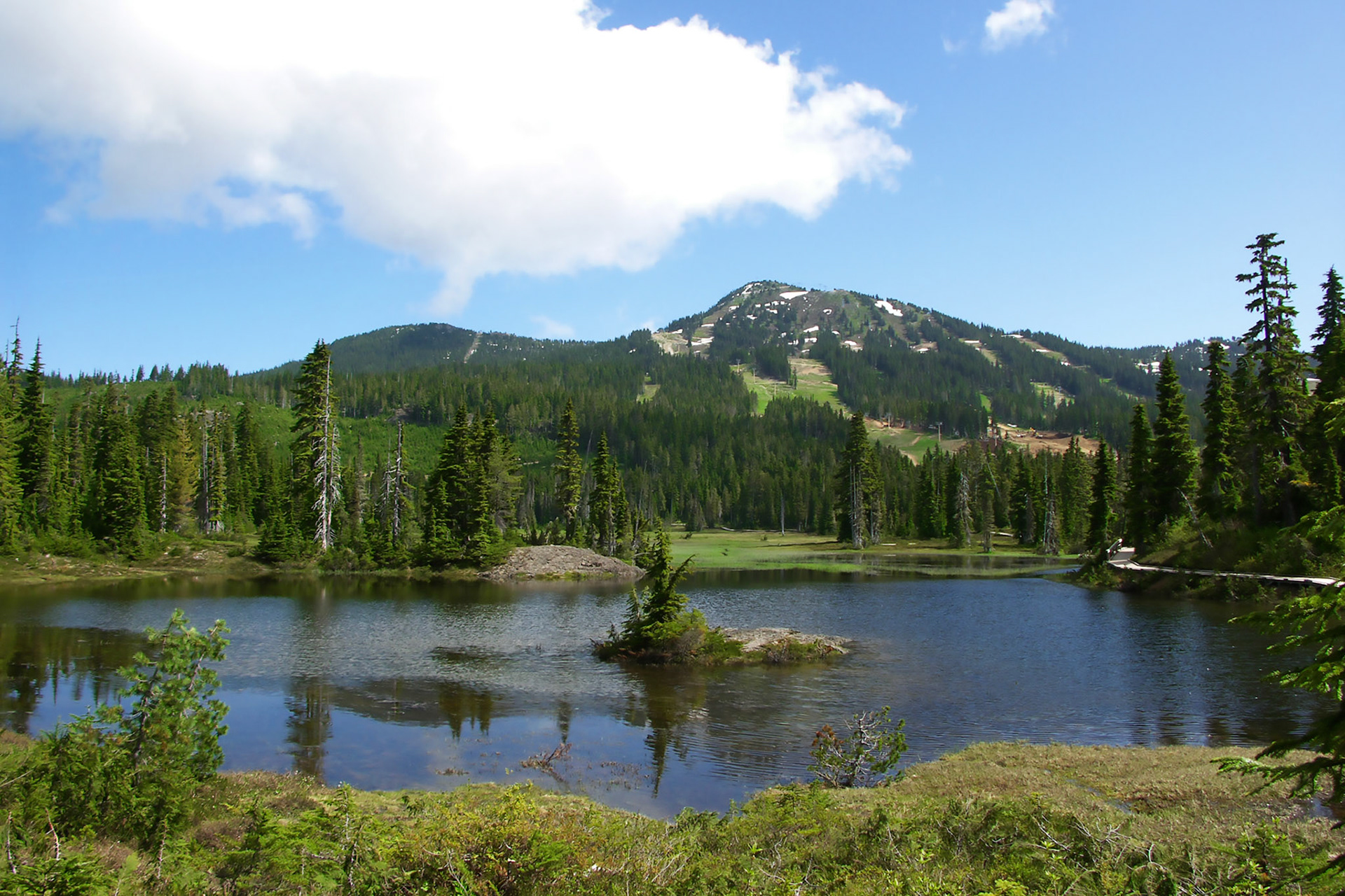 Small lake - Mt. Washington, Van Isle
