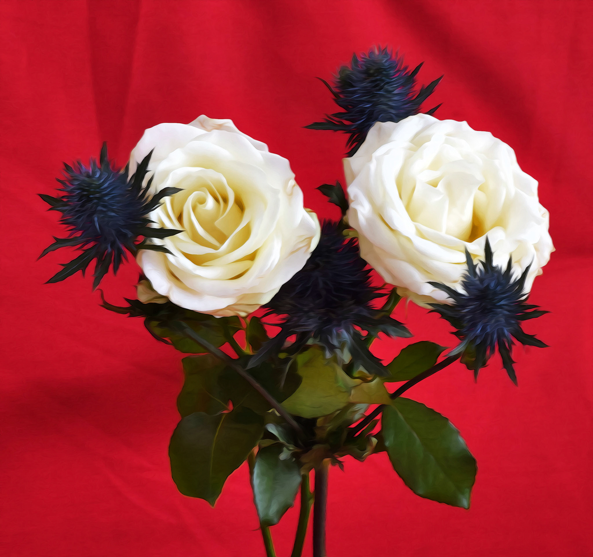 Rose & Thistle