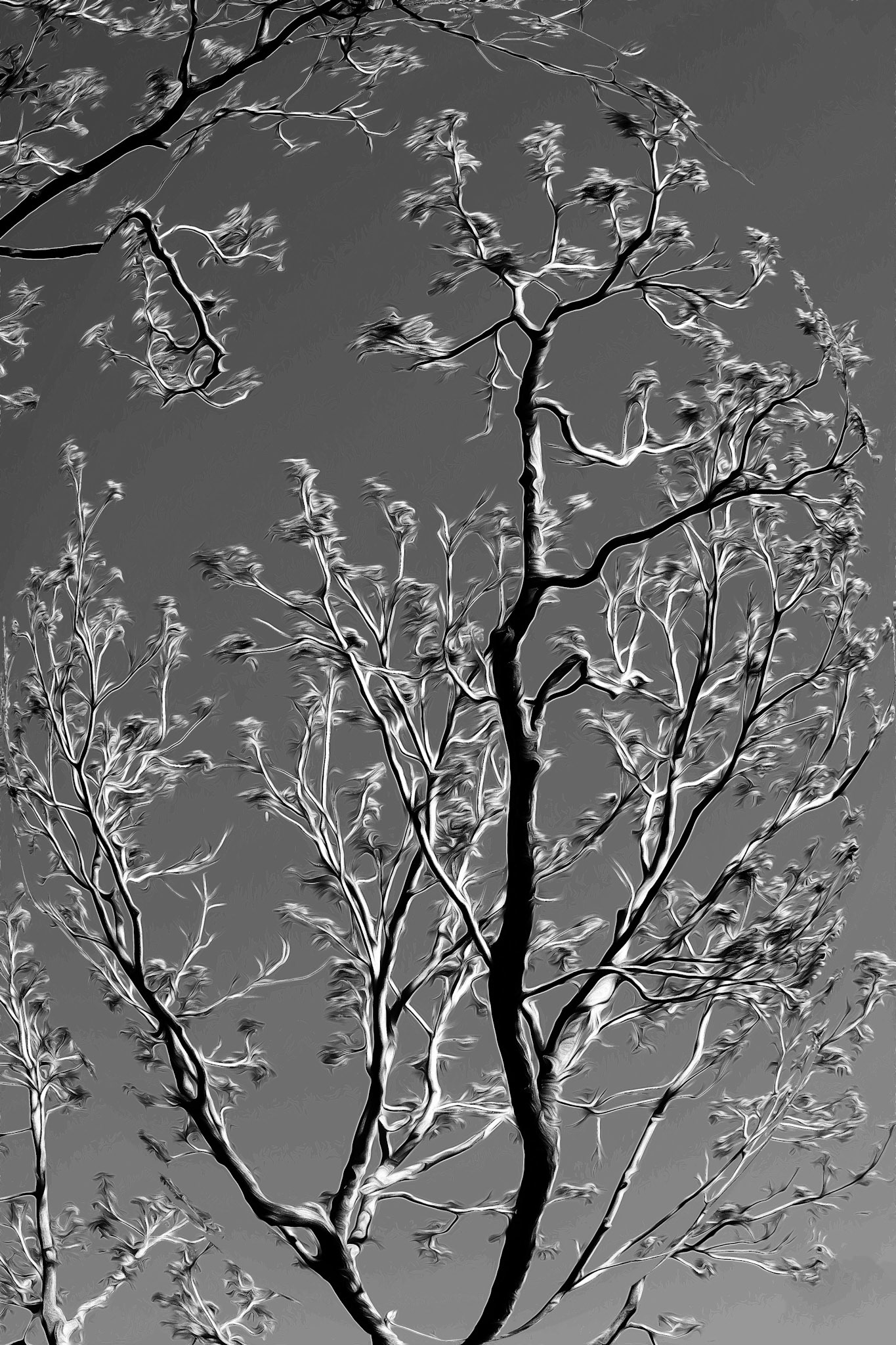 BWtree