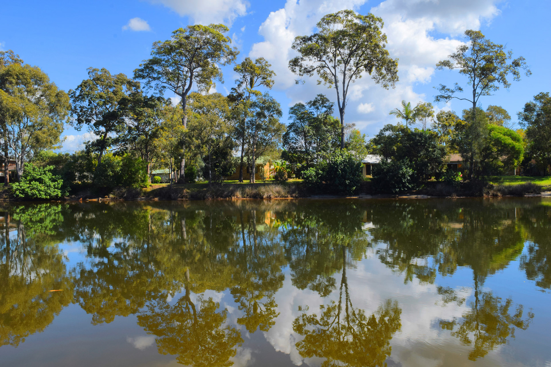 Neighbours in Twin Waters
