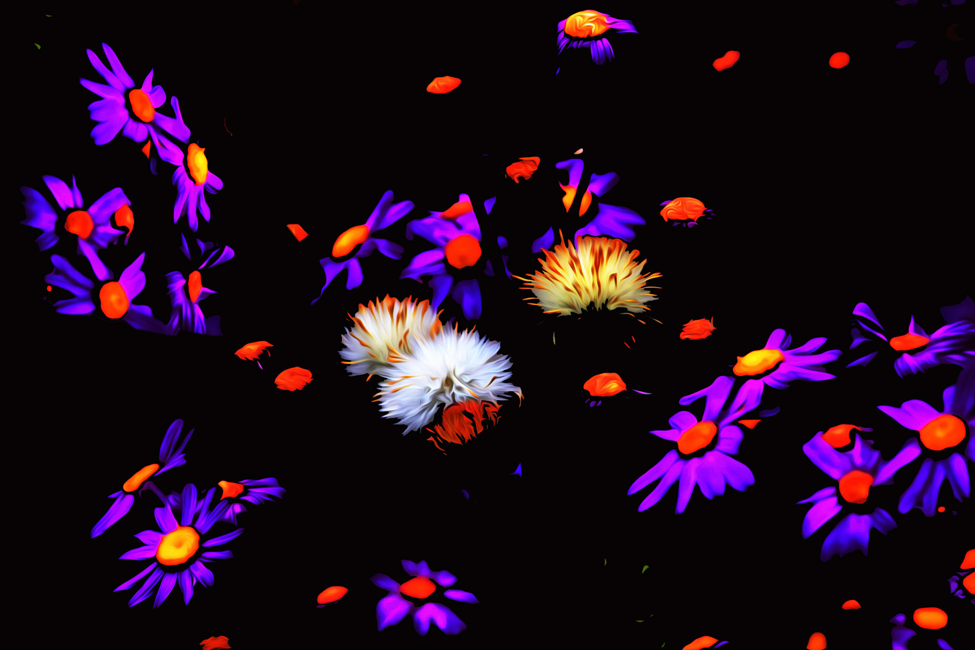 Flourescent flowers