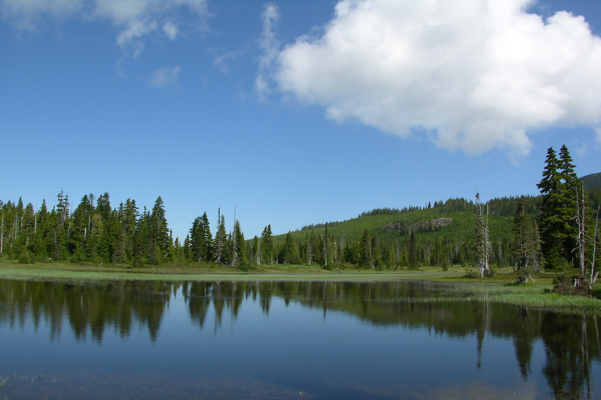 Mt. Washington Lake