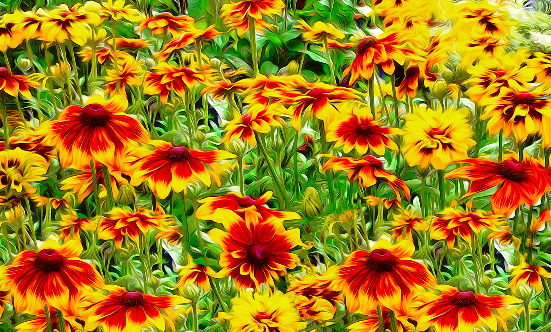 Sunny disposition