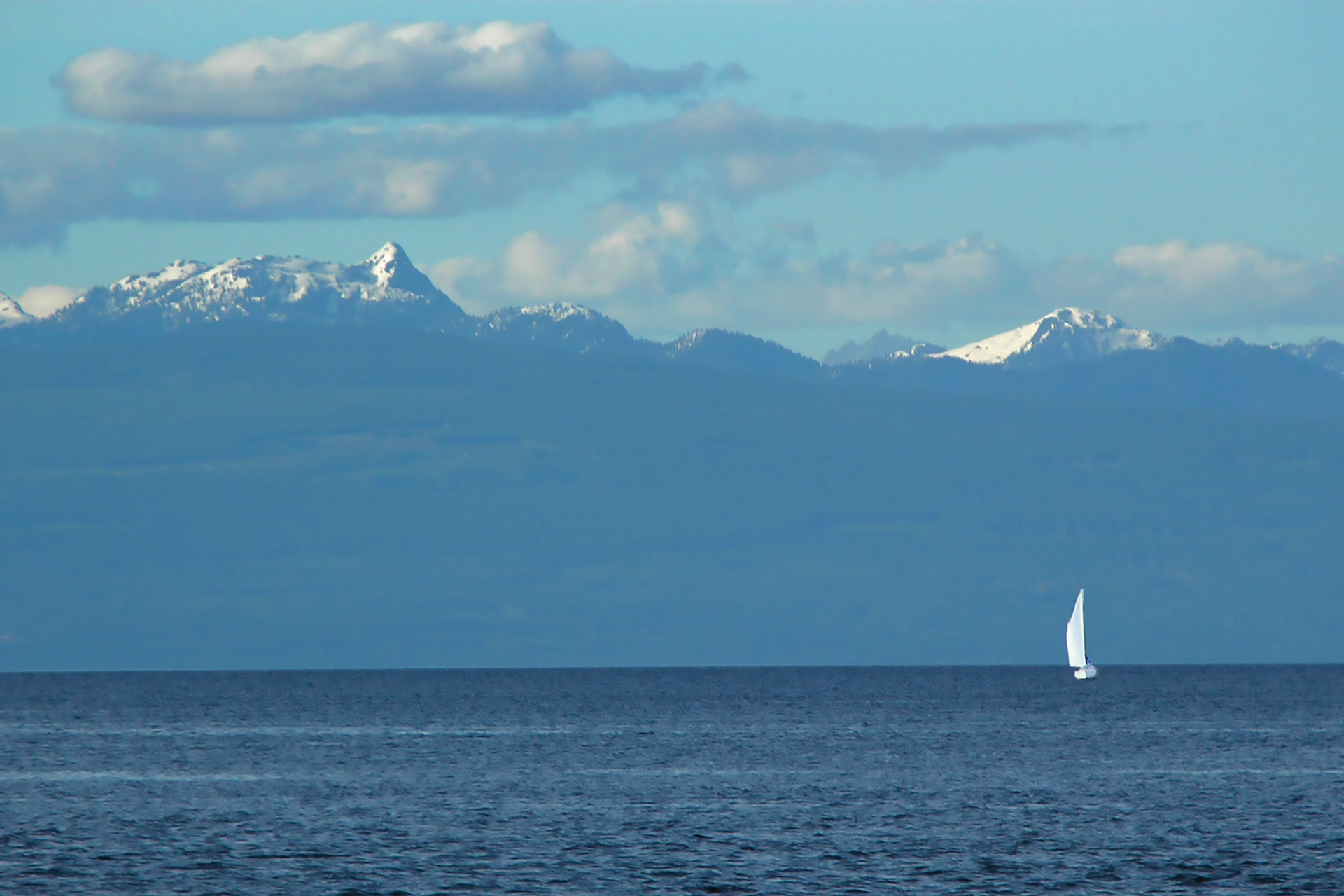 Solo sail in a big world