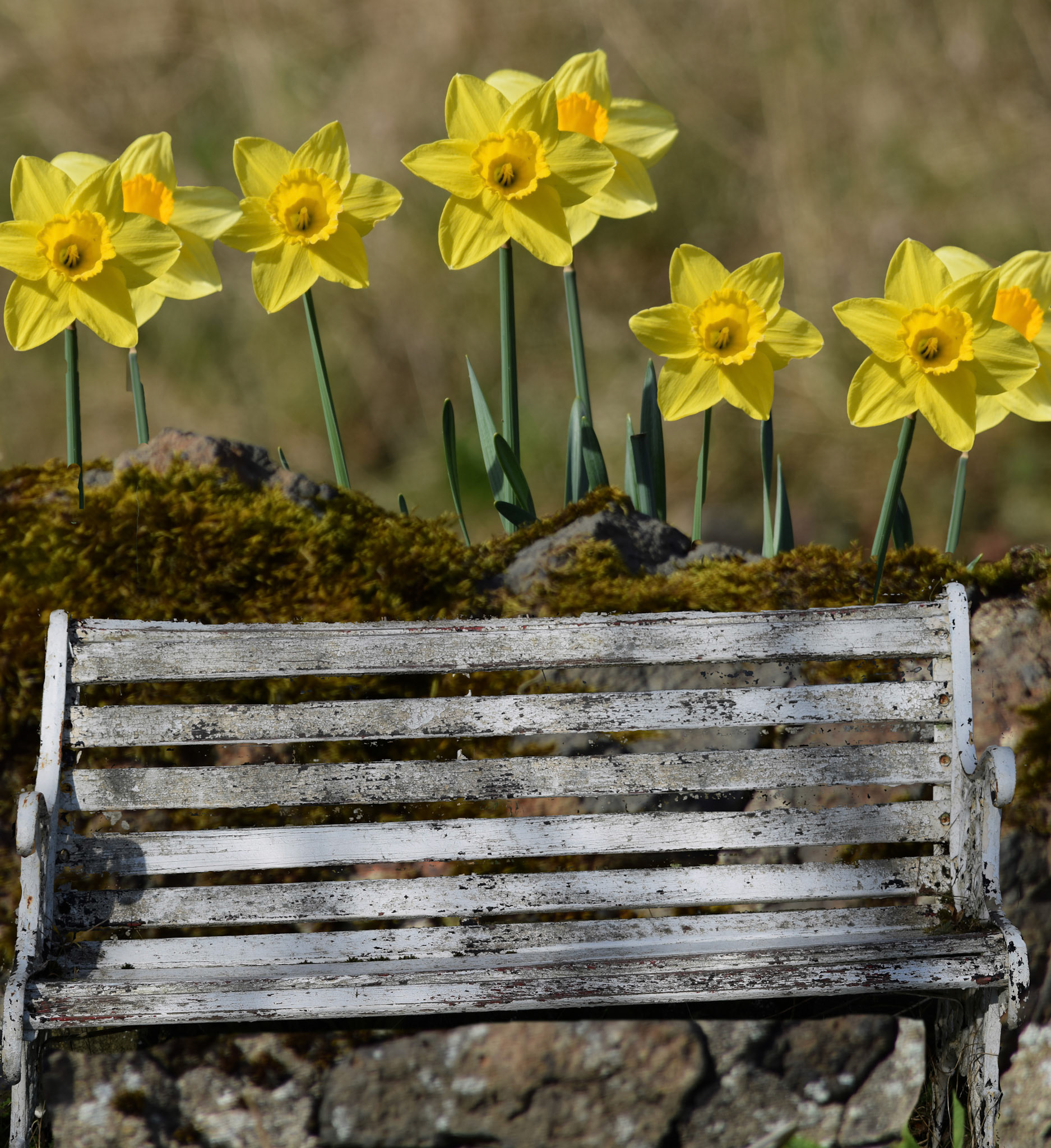 Spring has Sprung!