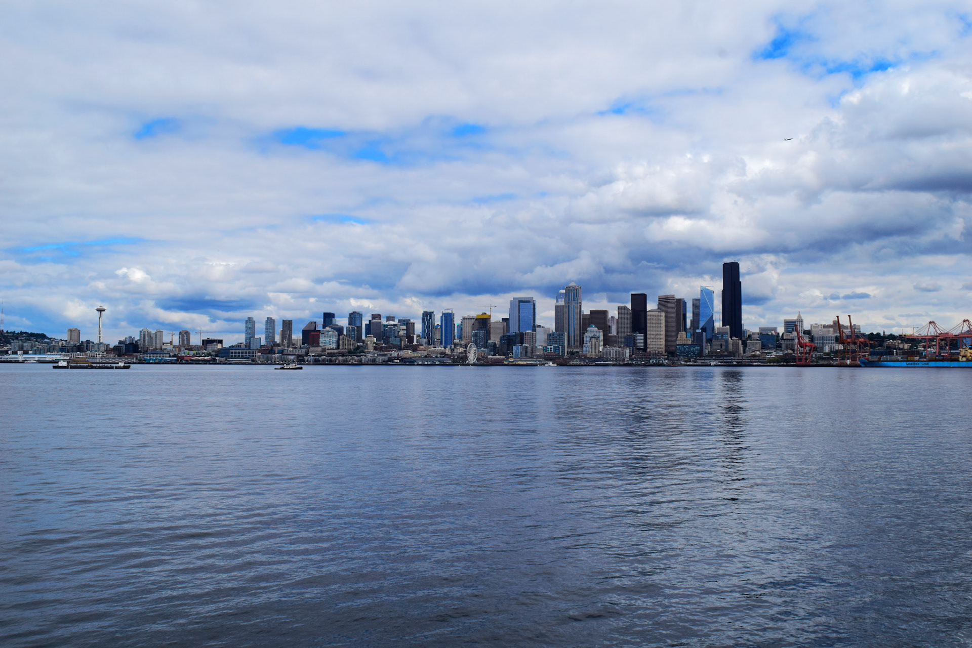 Blue Seattle