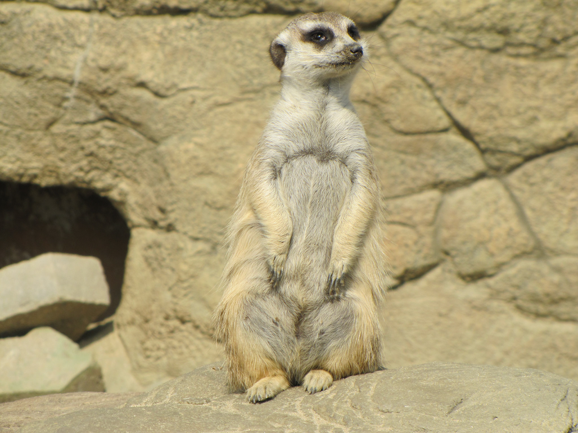 On the lookout