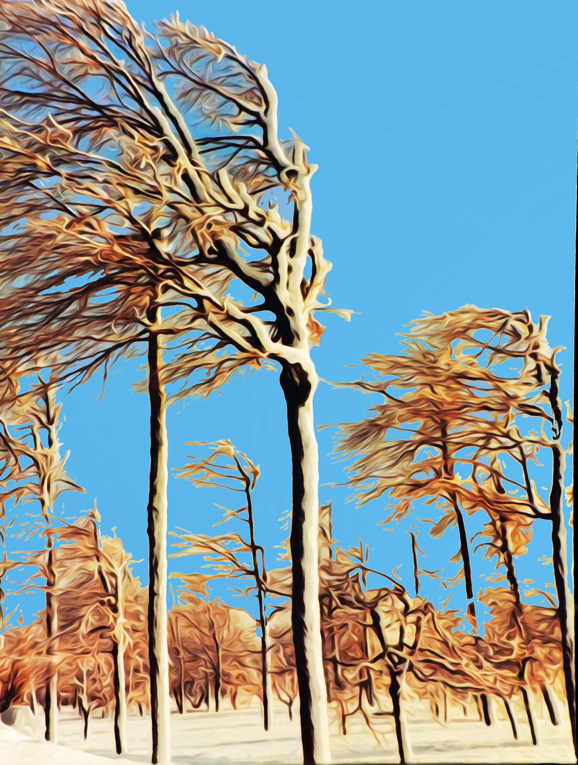 Wild Niagara Winter Winds