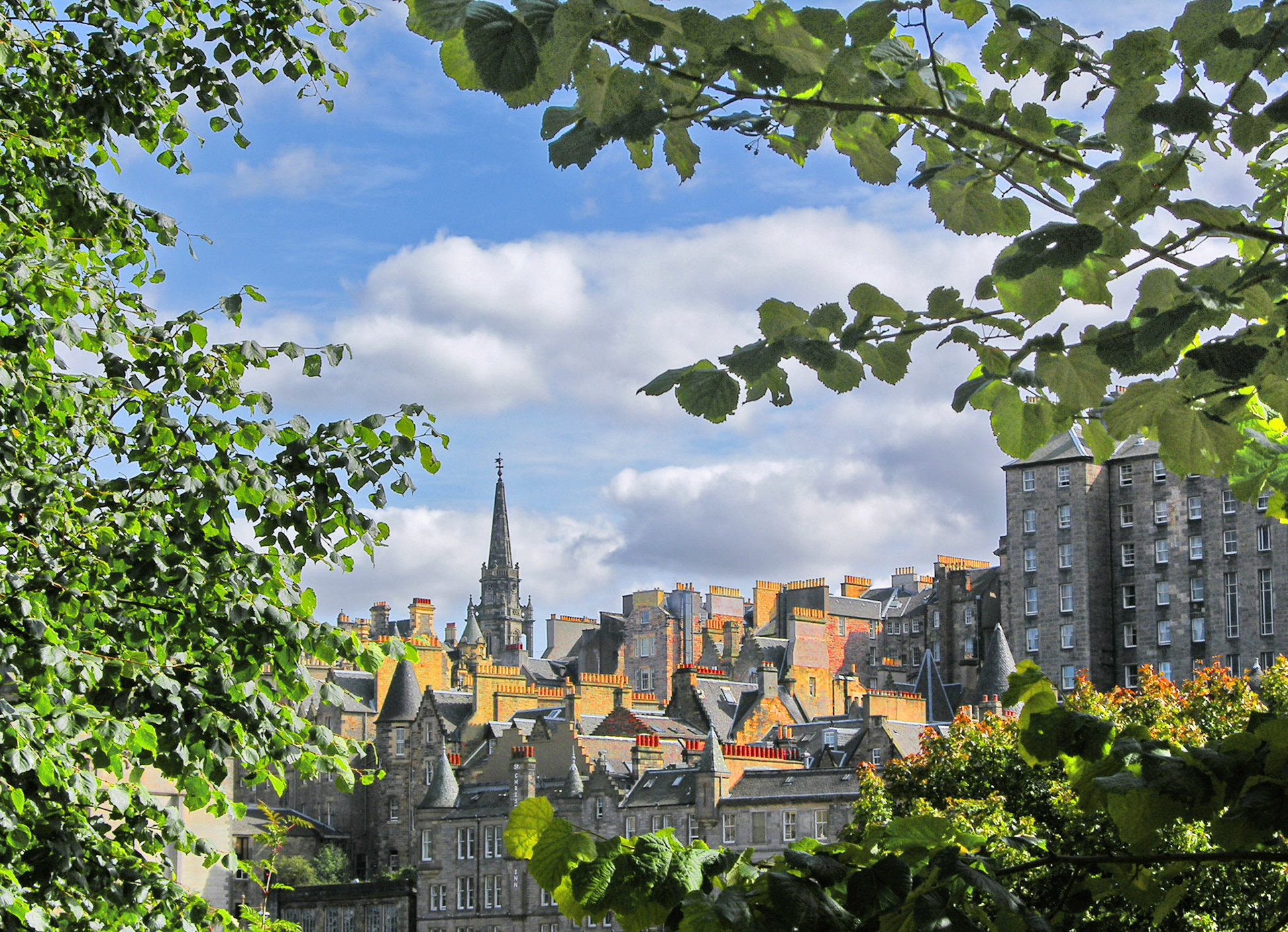 Rooftops & Chimneypots
