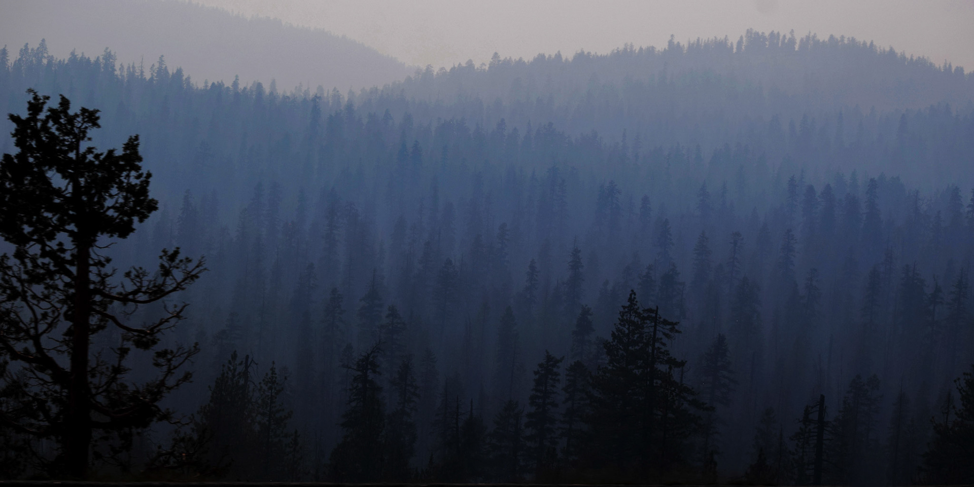 Wildfire haze