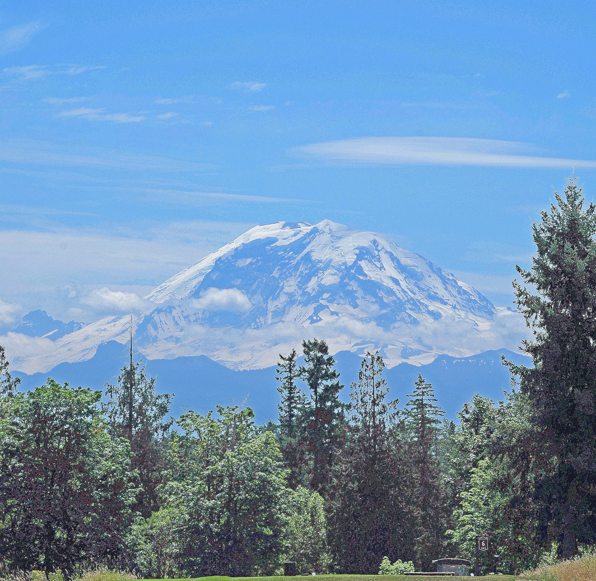 Distant Rainier
