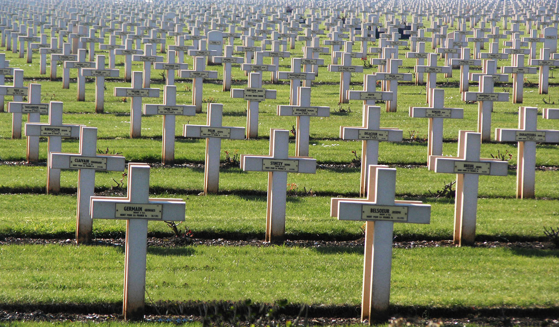 The fallen